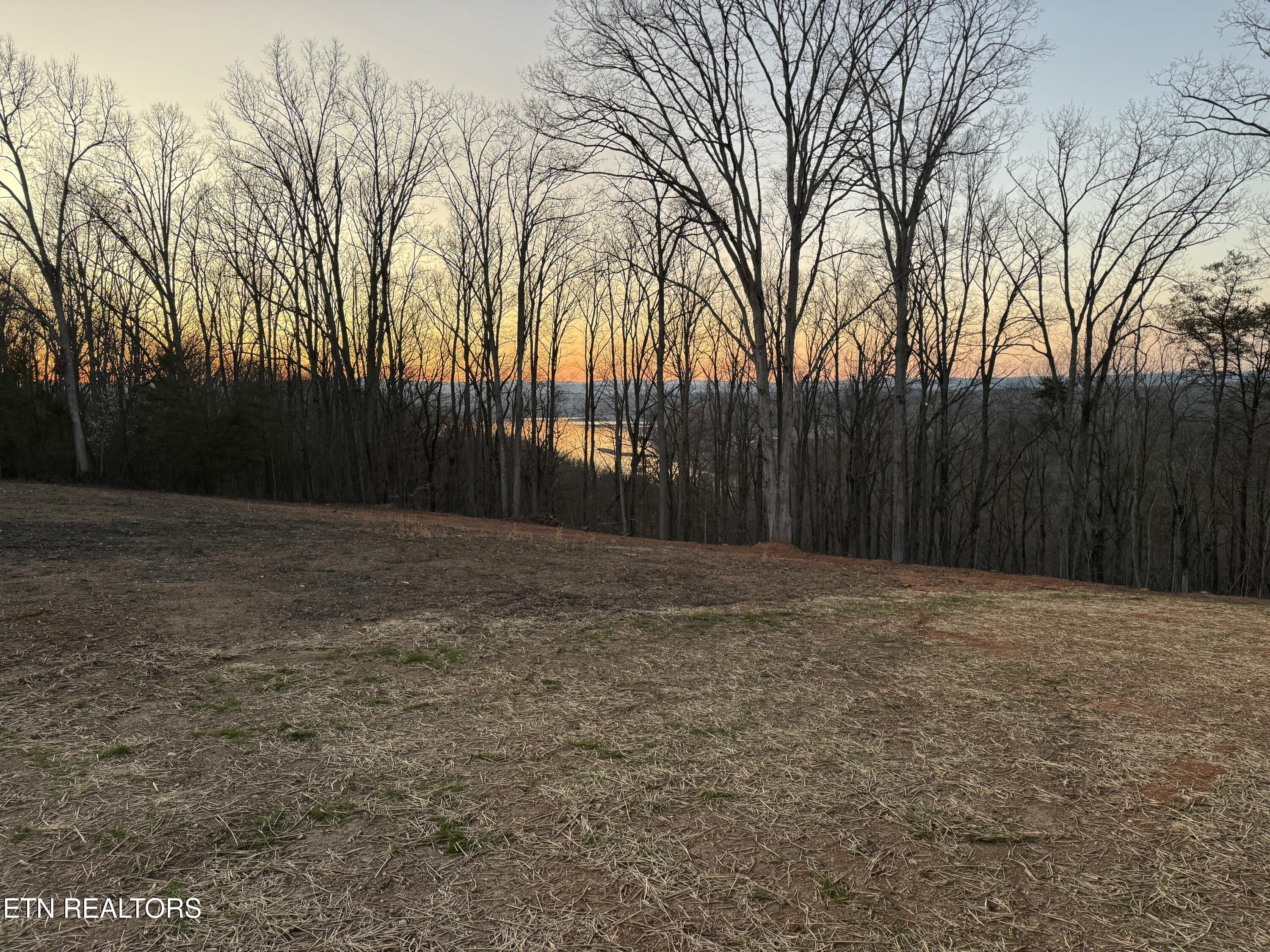 240 River Rd Property Photo 3