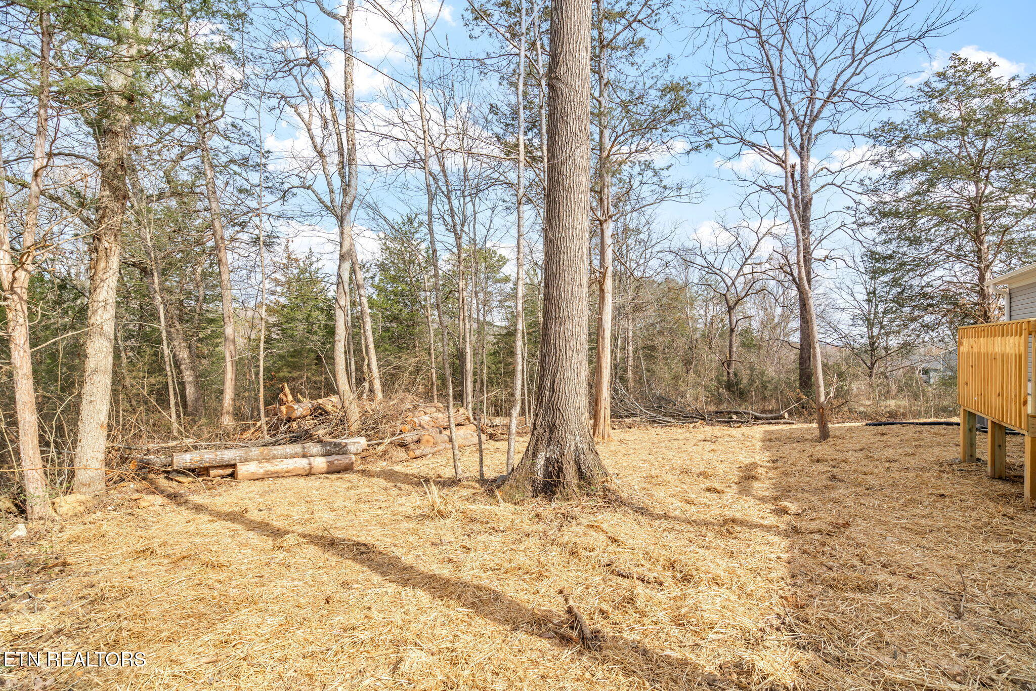 135 Rose Circle Property Photo 28