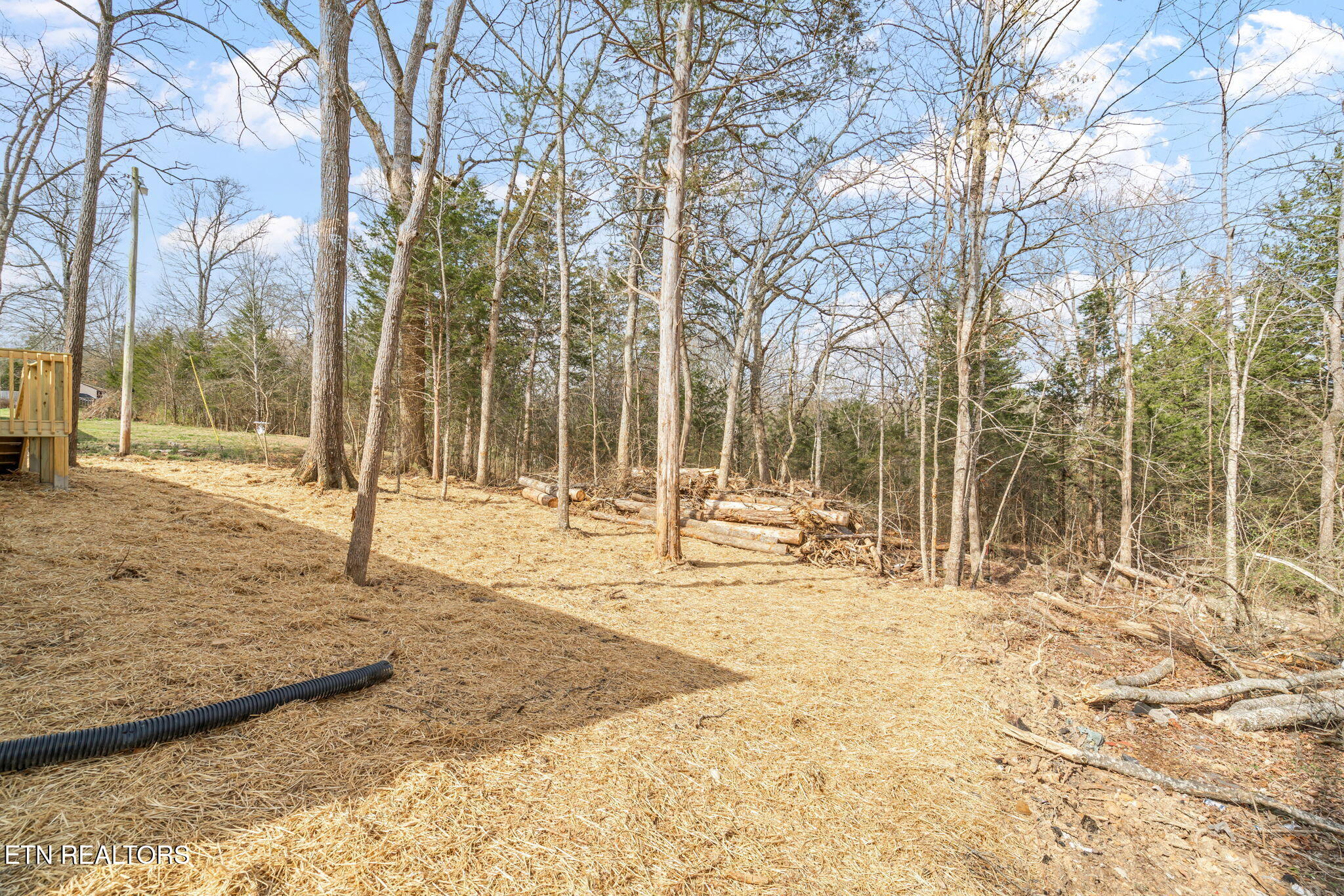 135 Rose Circle Property Photo 30