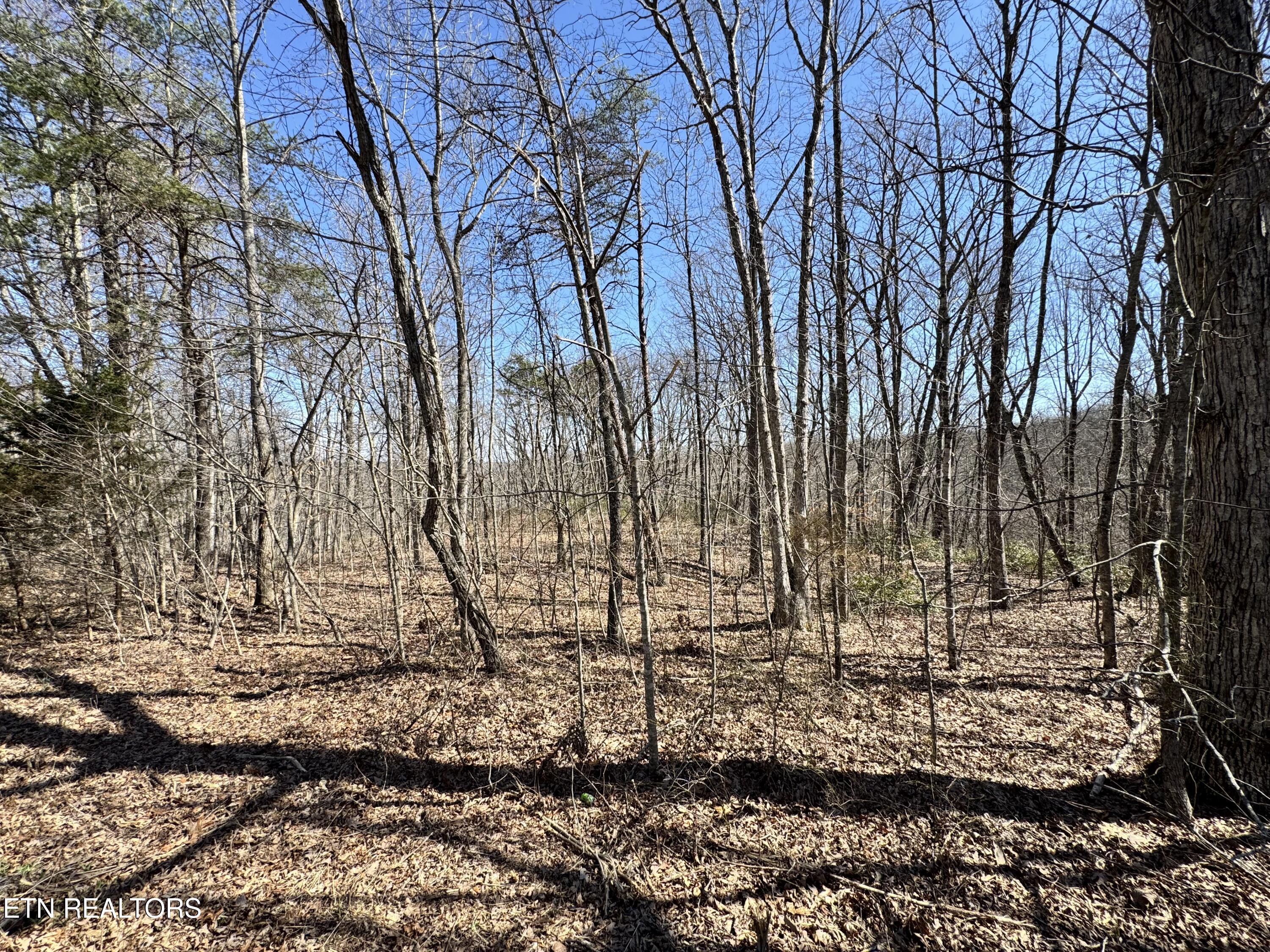 Honey Springs Rd Property Photo