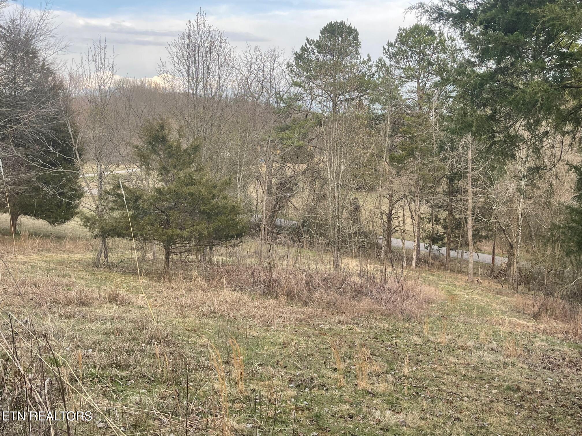 135 Morris Lane Property Photo 1