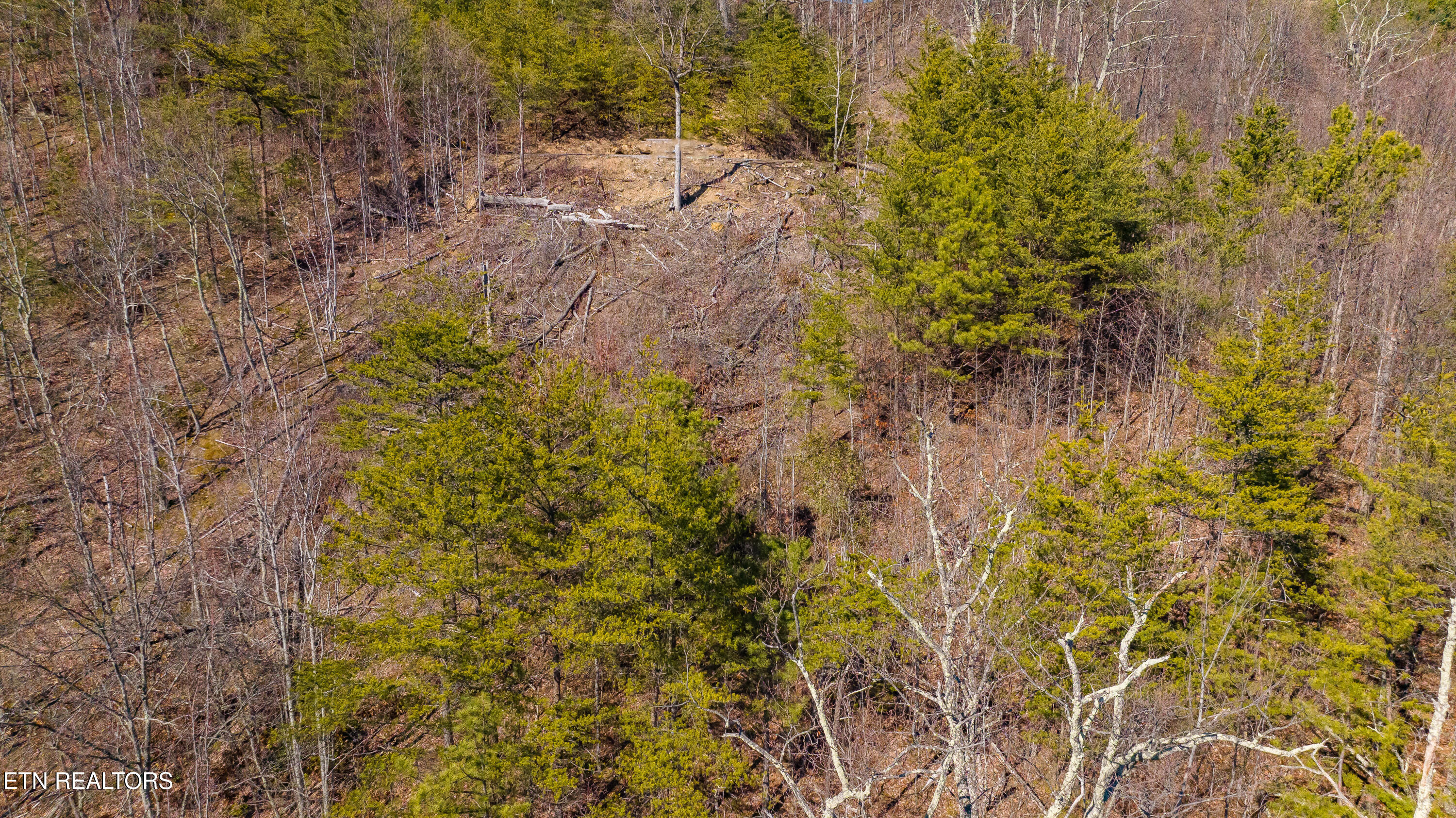 Cumberland Way Property Photo 5