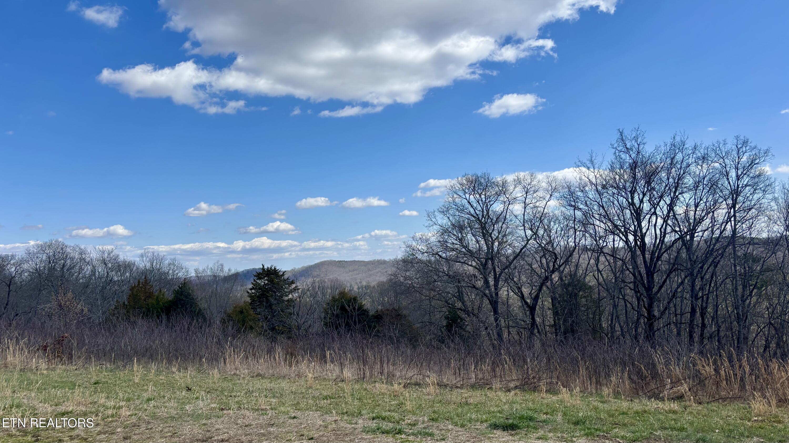 199 Old Hood Landing Property Photo