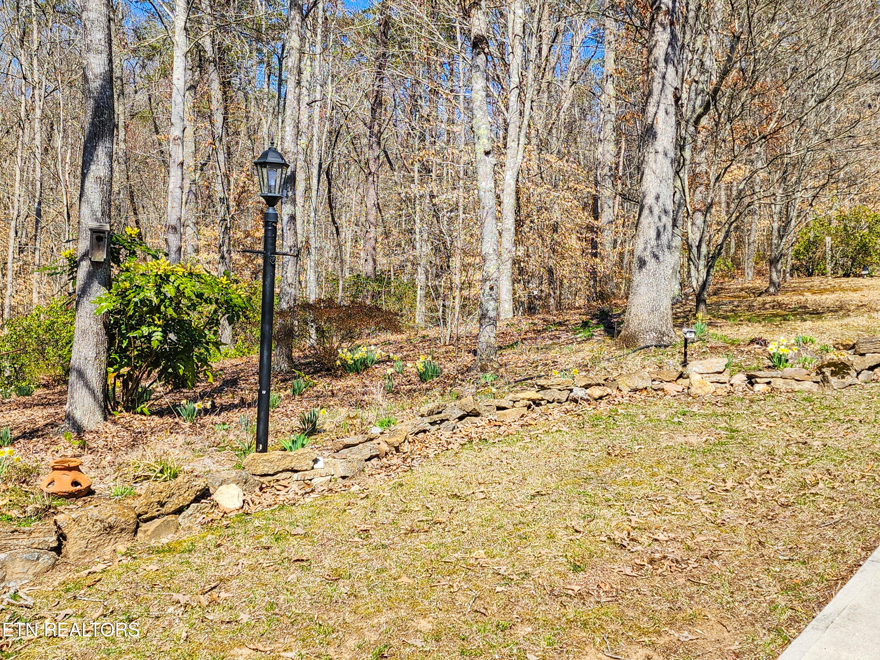 111 March Rd Property Photo 8