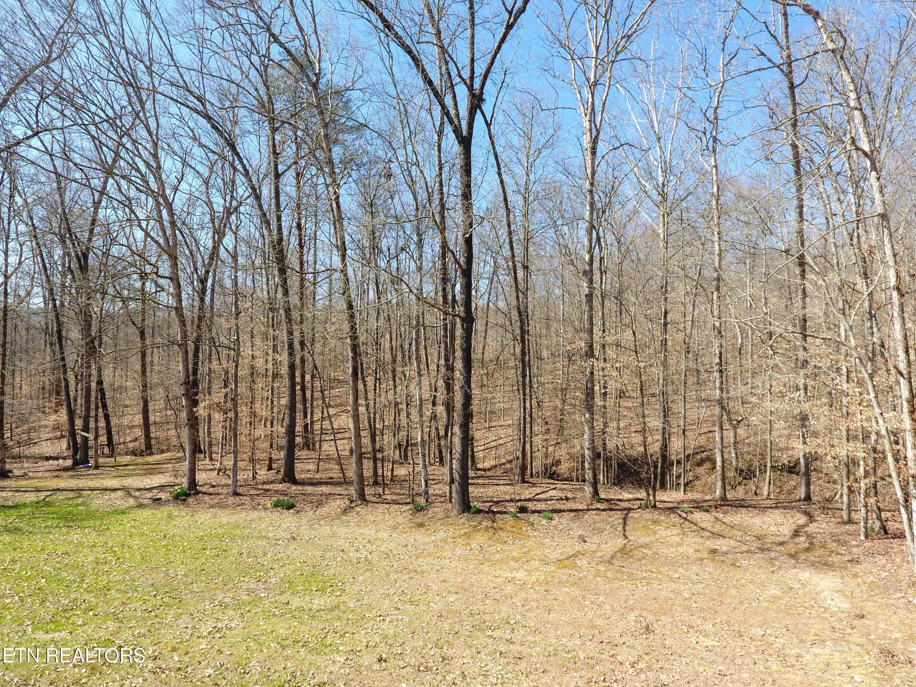 111 March Rd Property Photo 42