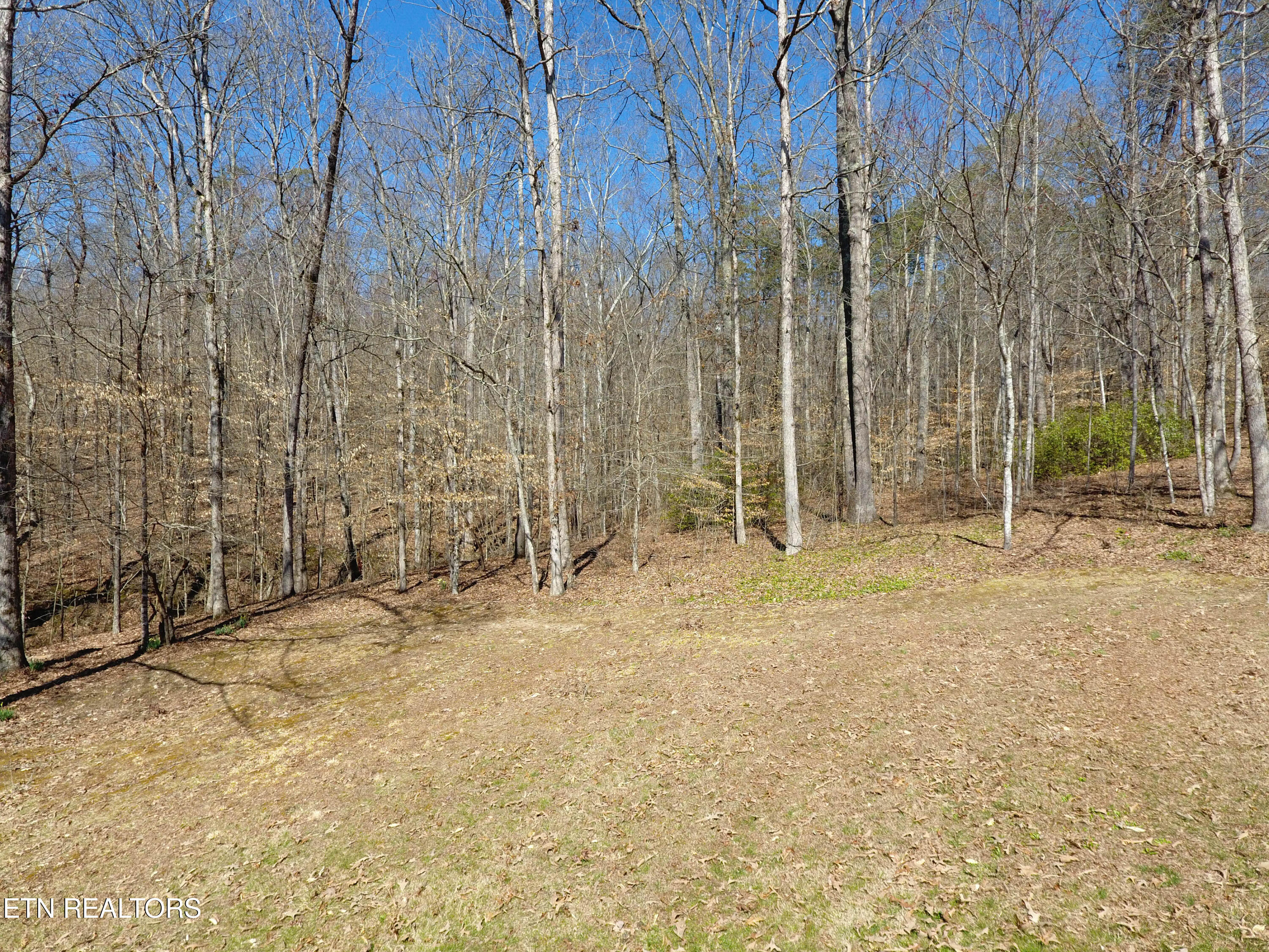 111 March Rd Property Photo 45