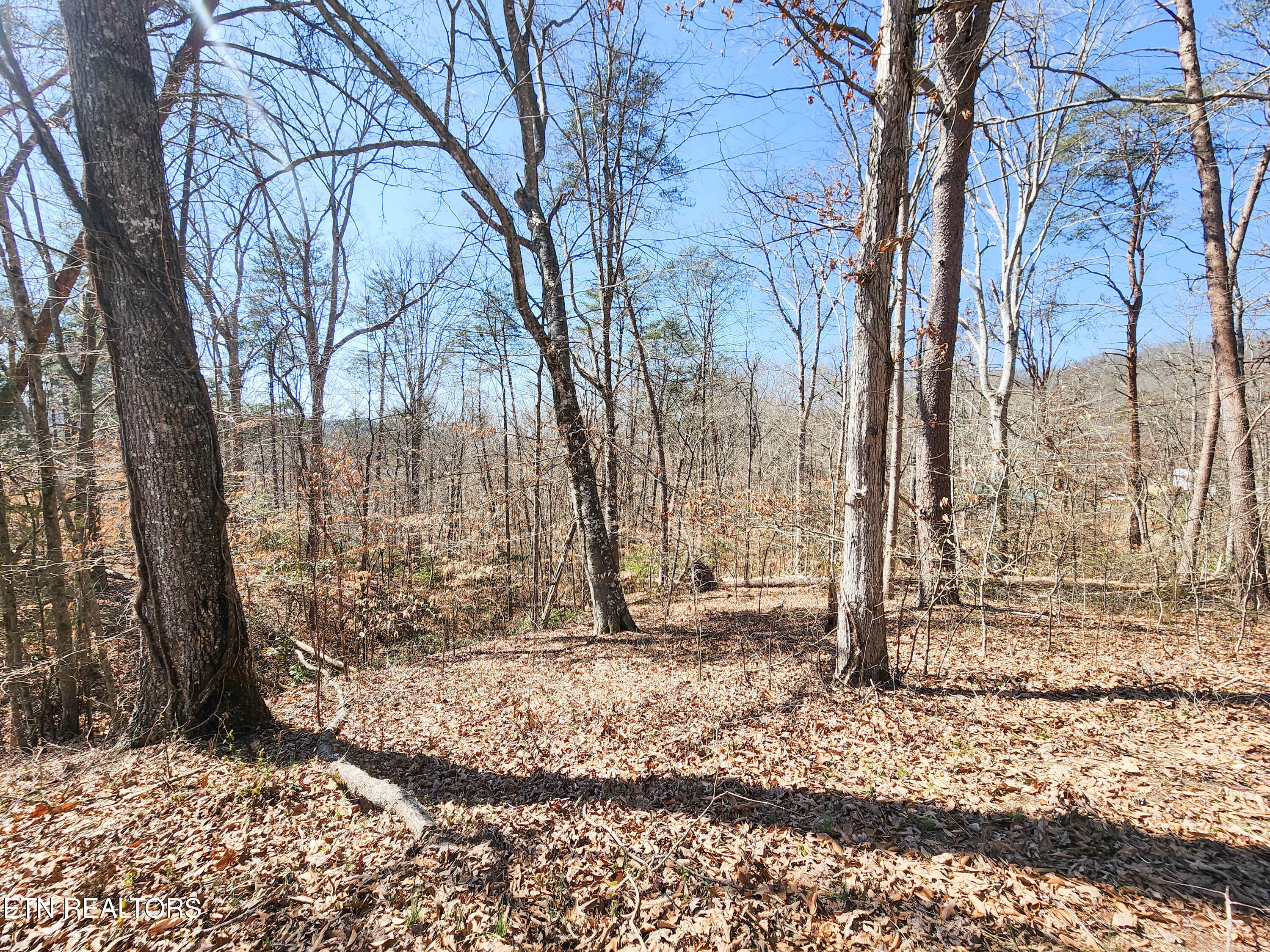 111 March Rd Property Photo 55