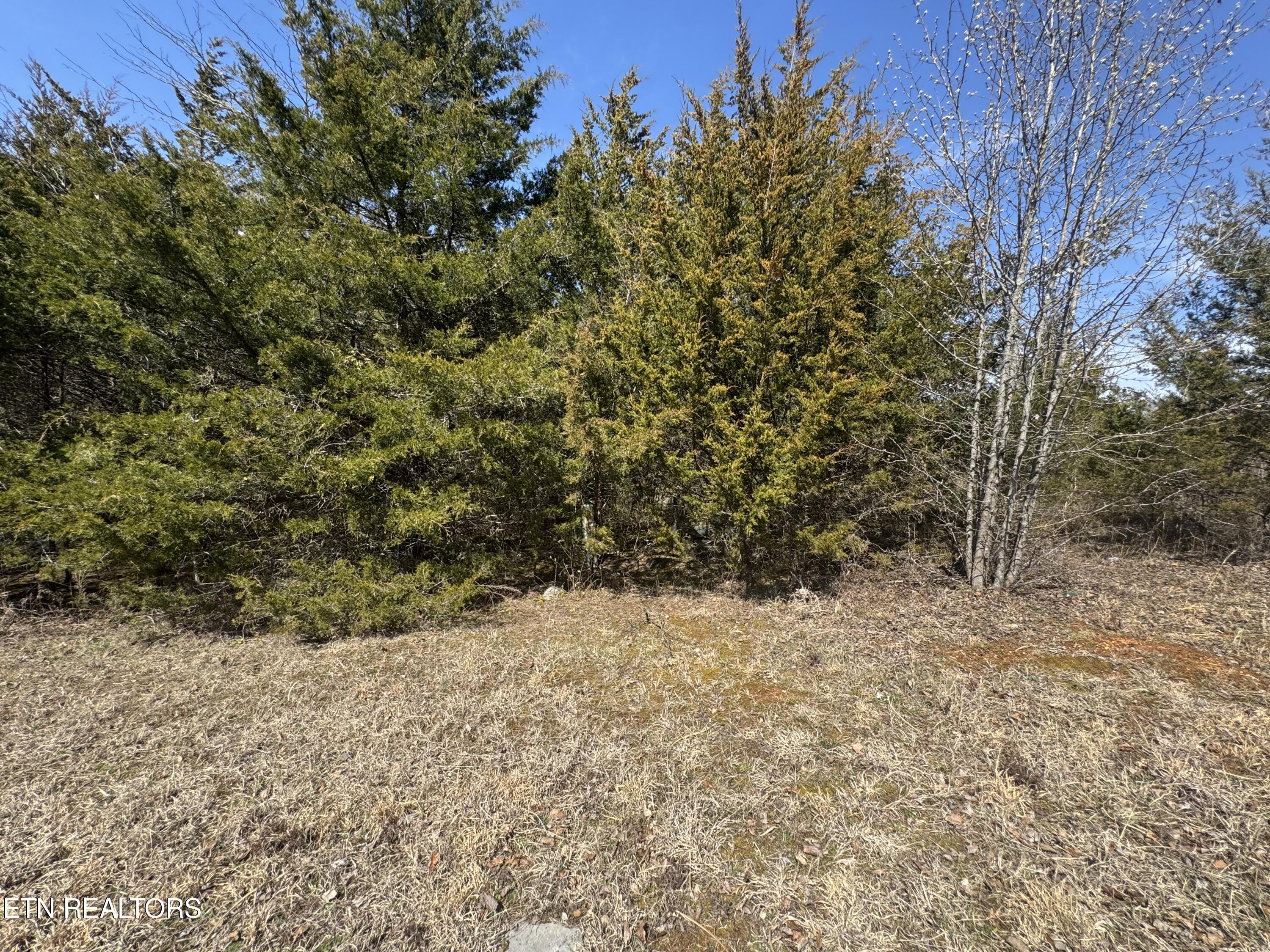 Lot 155 Wedge Way Property Photo