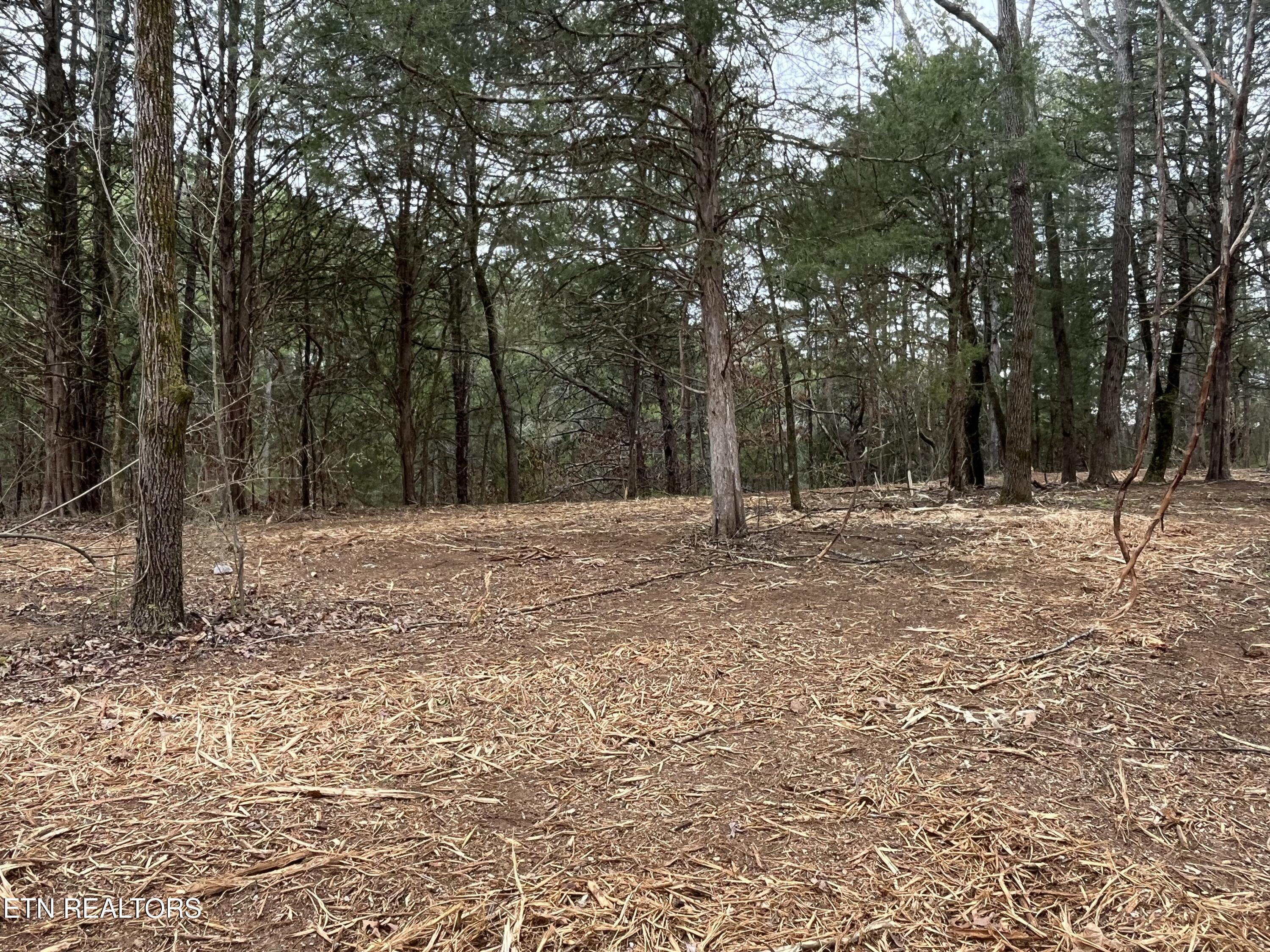 16511 Hwy 72 Property Photo 4