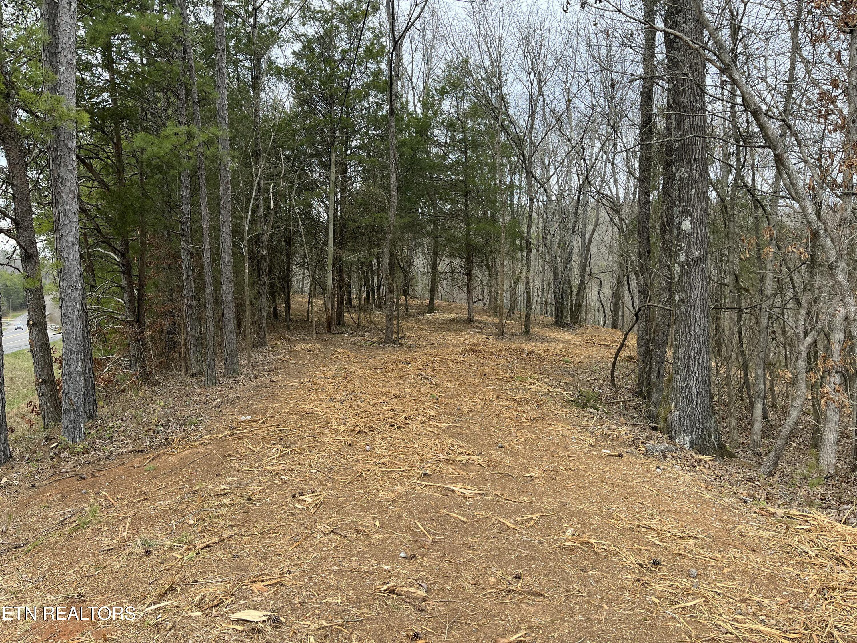 16511 Hwy 72 Property Photo 5