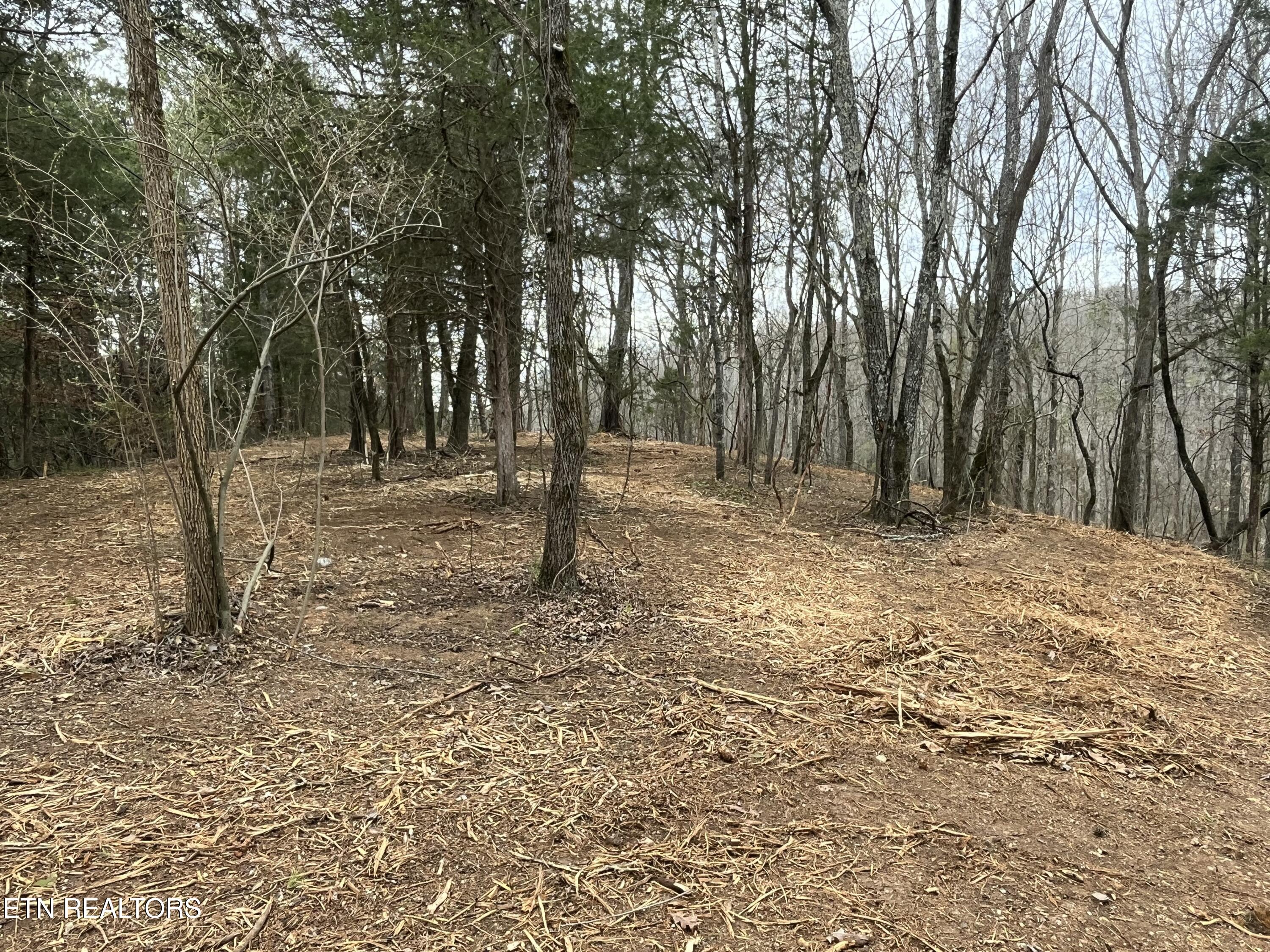 16511 Hwy 72 Property Photo 7