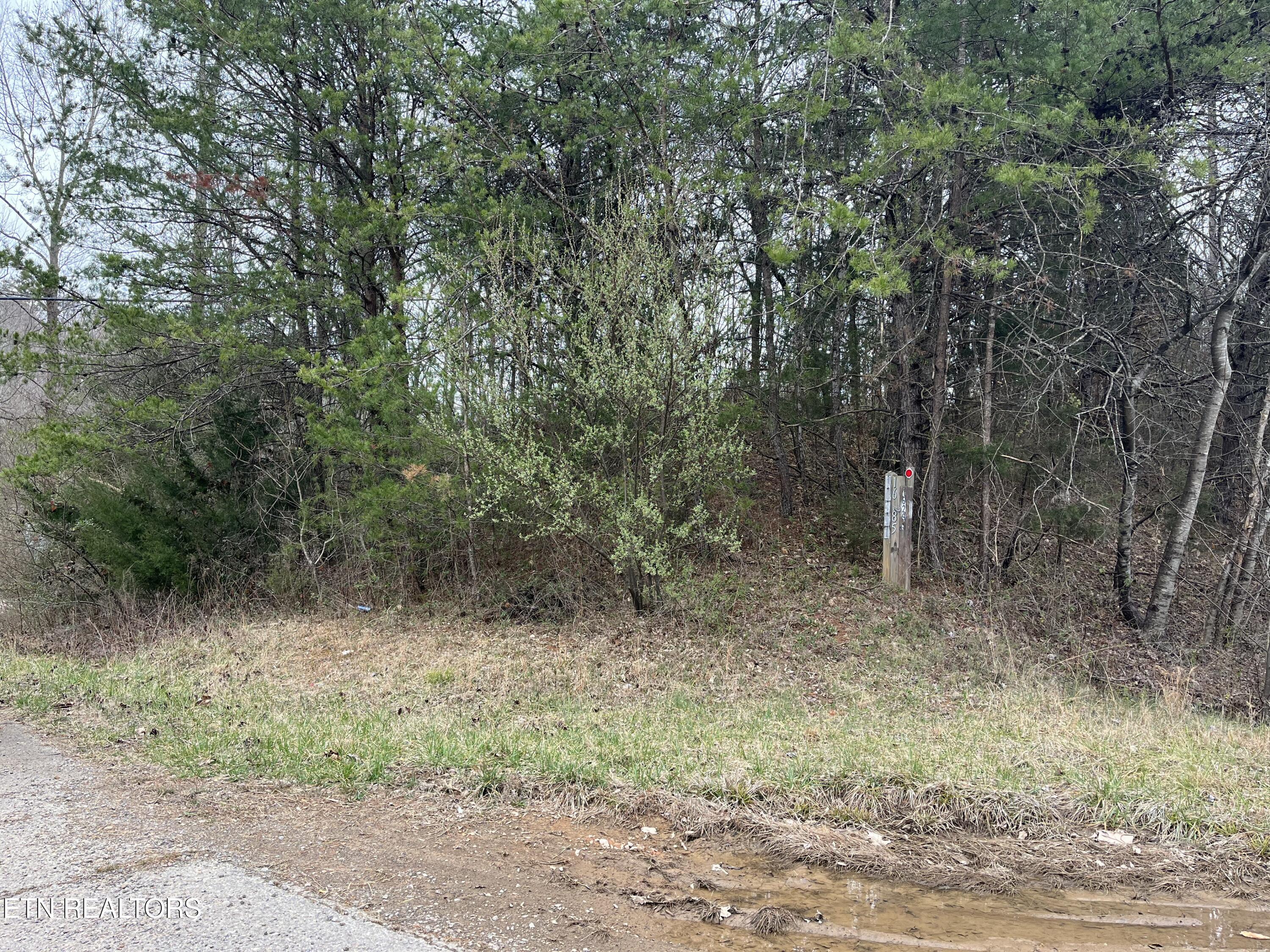 16511 Hwy 72 Property Photo 9