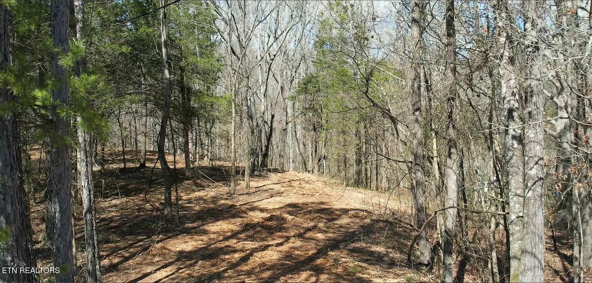 16511 Hwy 72 Property Photo 12