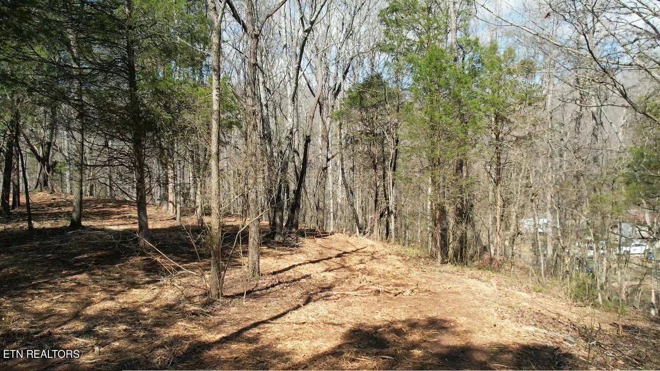 16511 Hwy 72 Property Photo 13