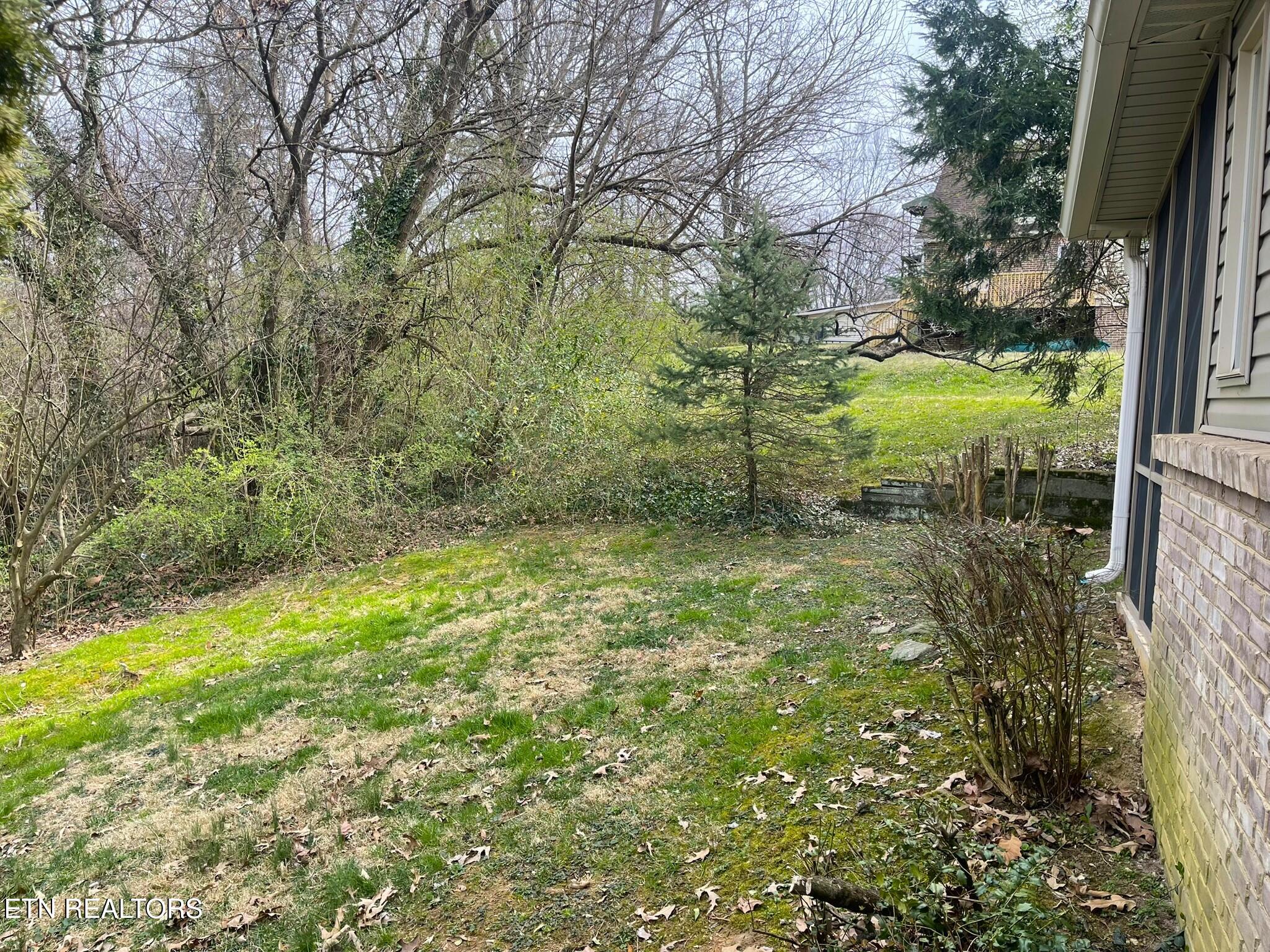124 Sunset View Loop Property Photo 18