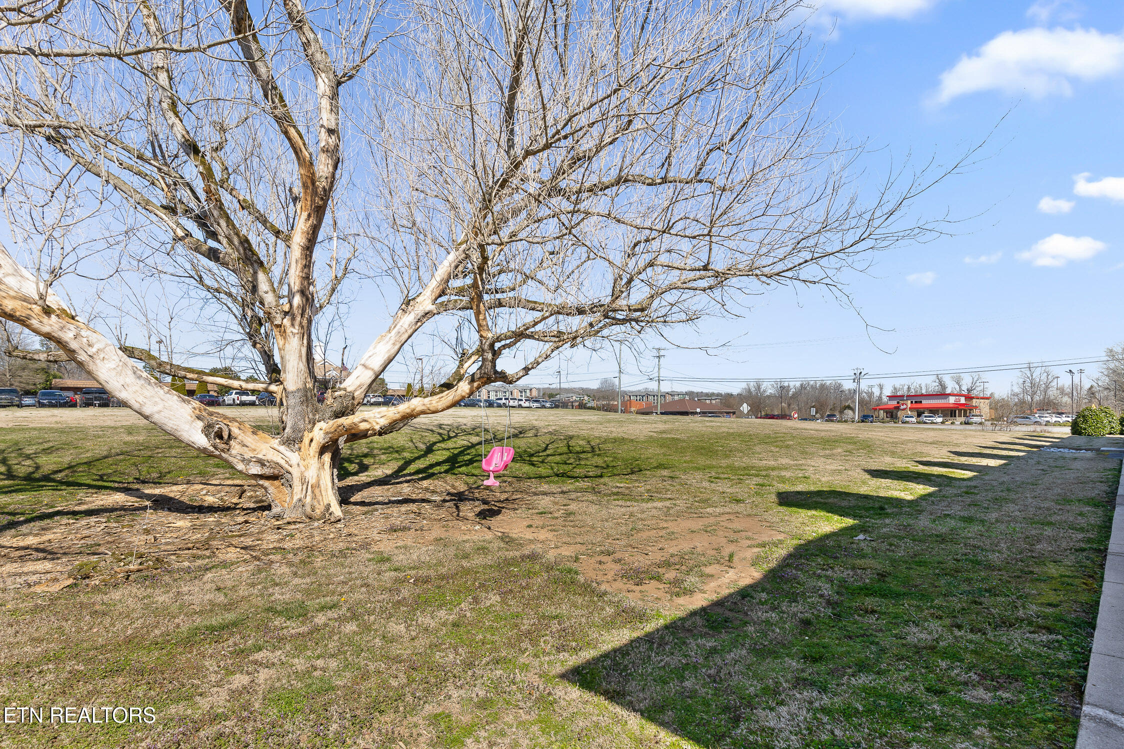 9298 Apison Pike Property Photo 33