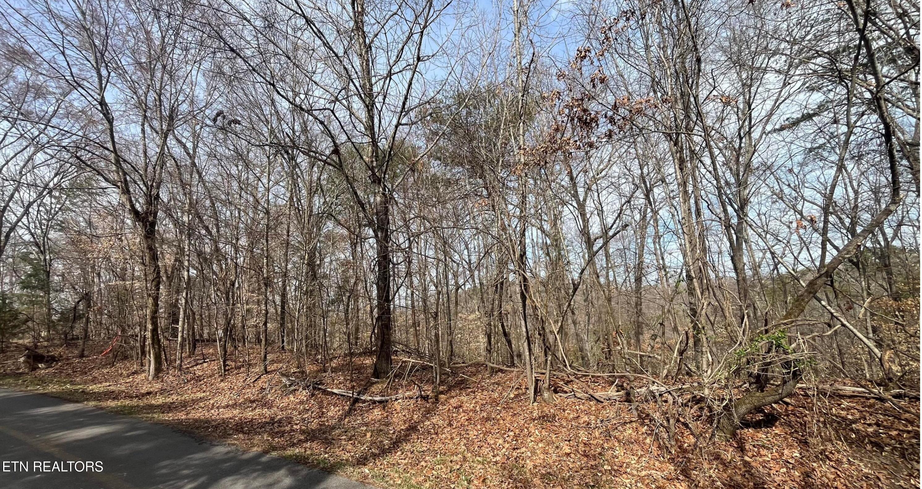 Mountain View Lane Property Photo