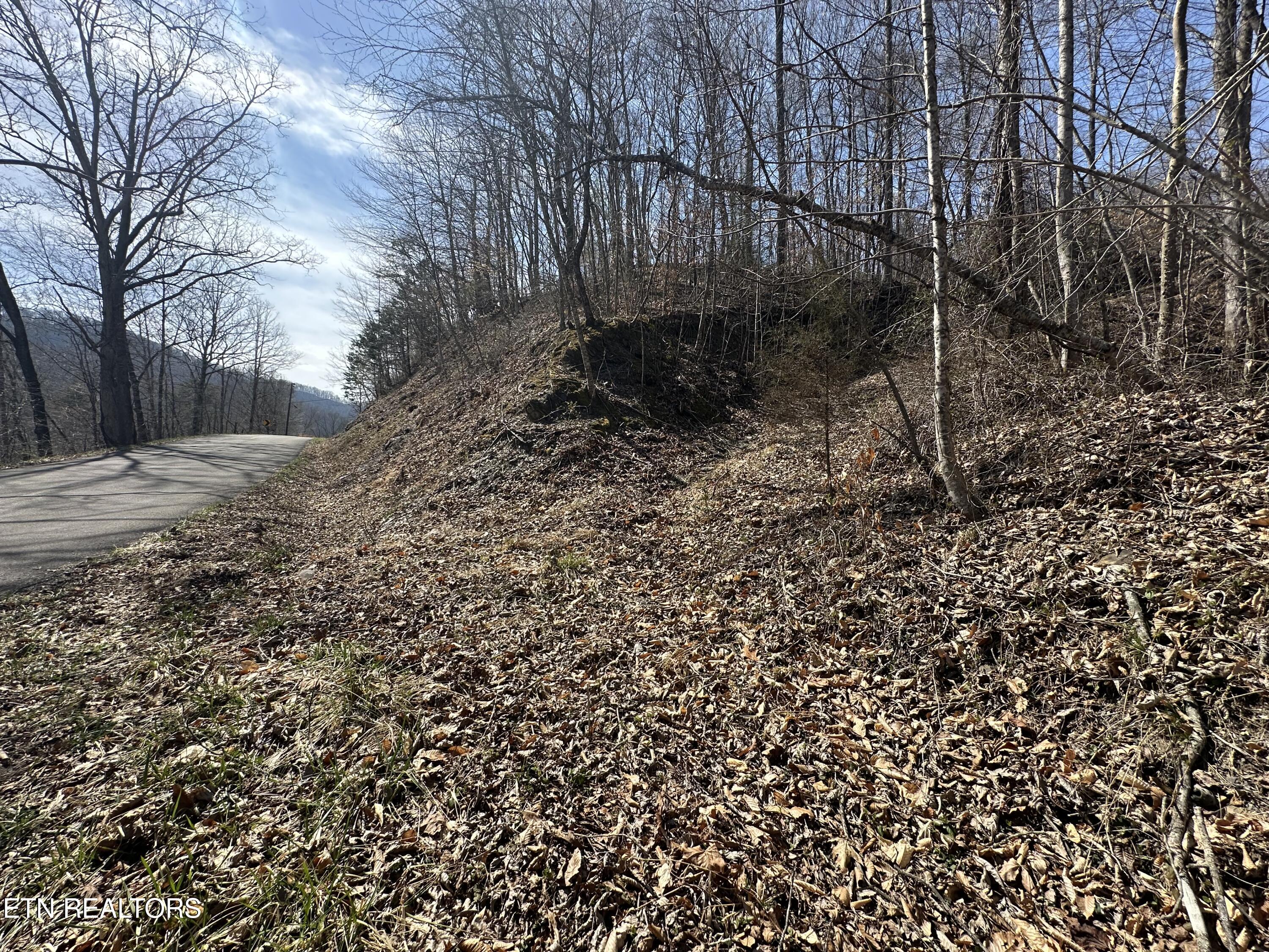 Tbd Cave Springs Rd Property Photo