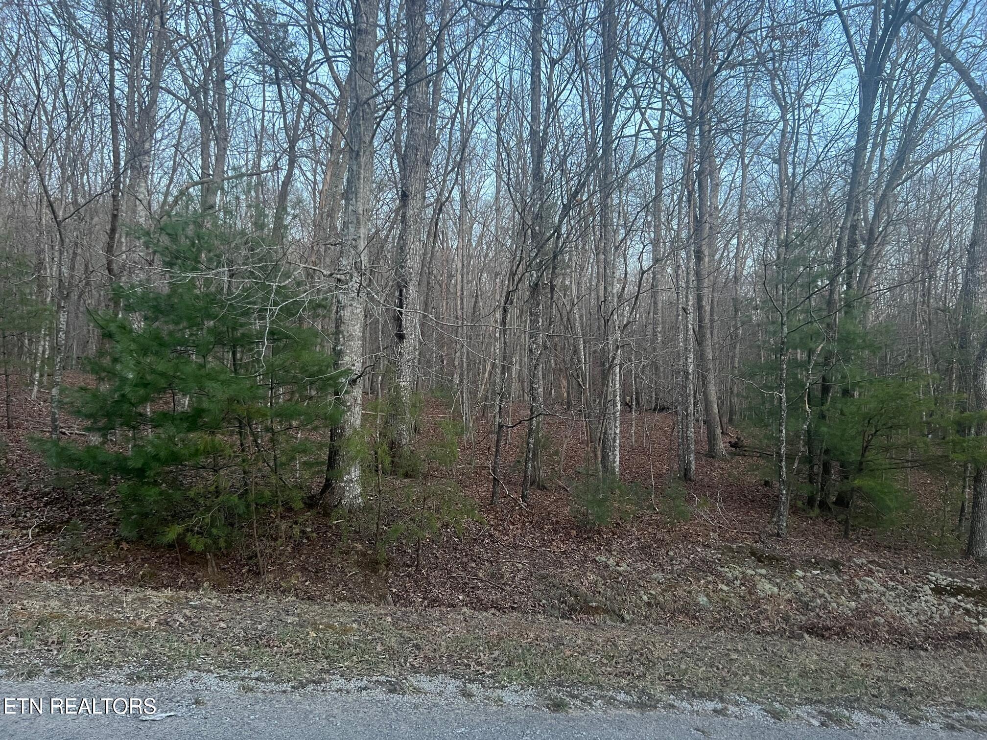16 Homberg Lane Property Photo