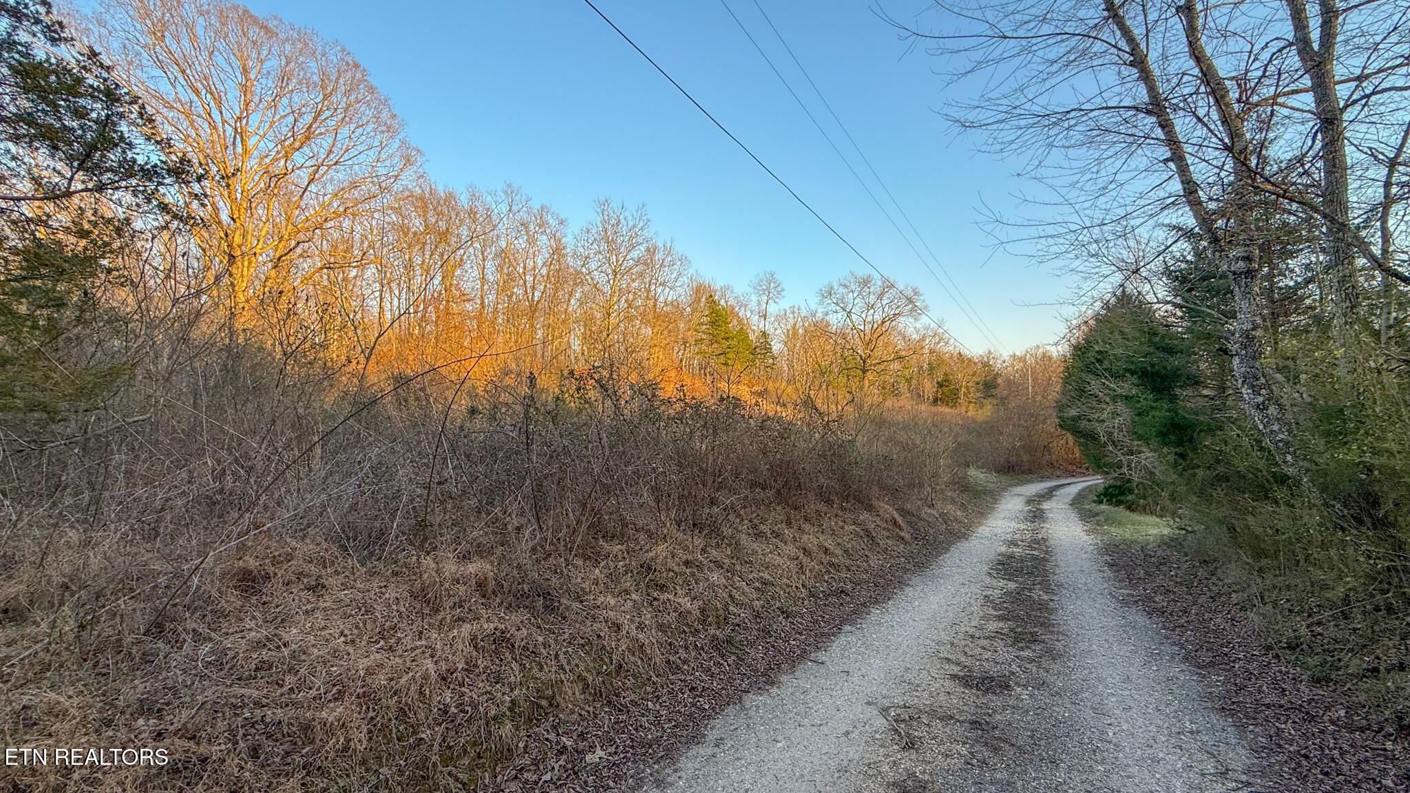 Maple Grove Rd Property Photo