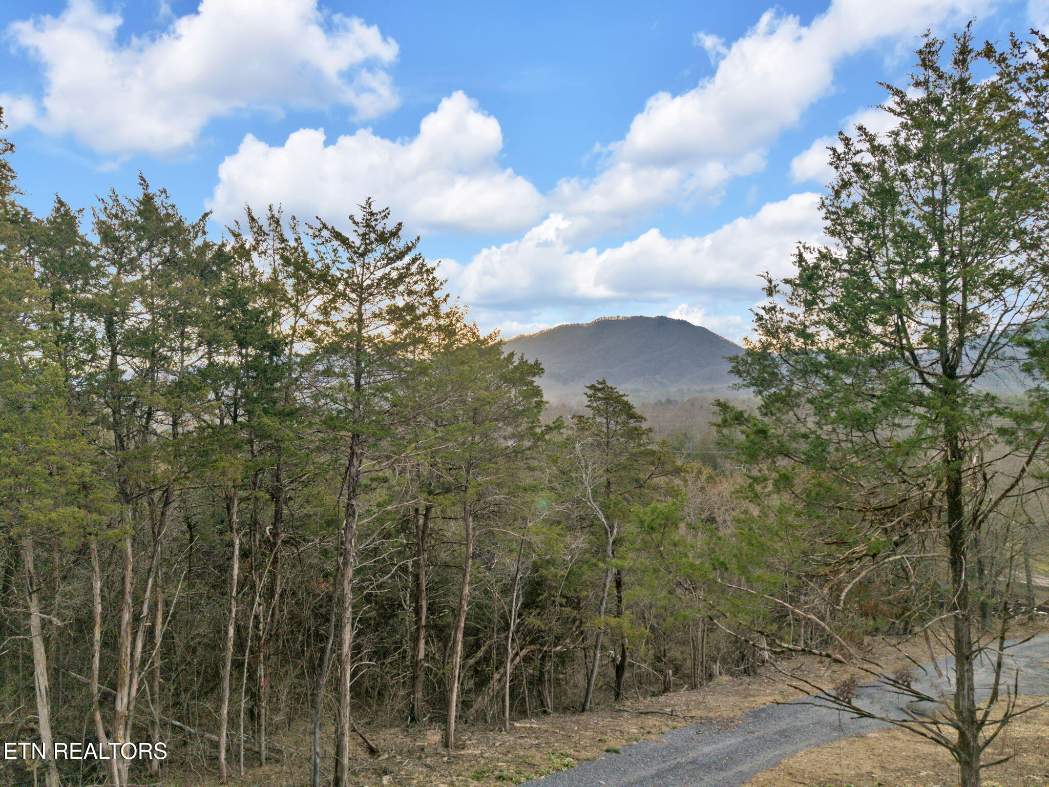 184 Tazewell Pike Property Photo