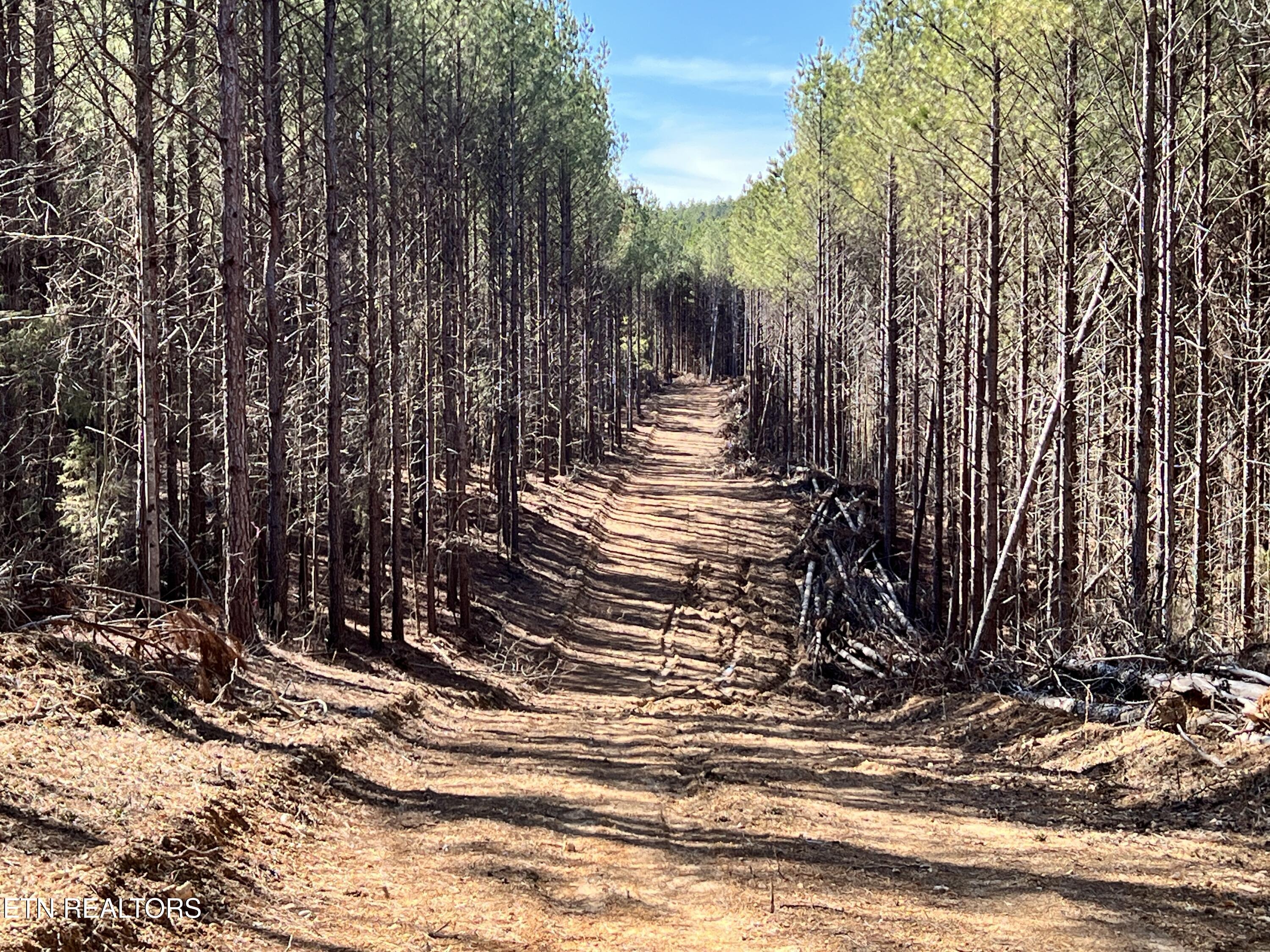 Lot 18 Sam Davis Road Property Photo