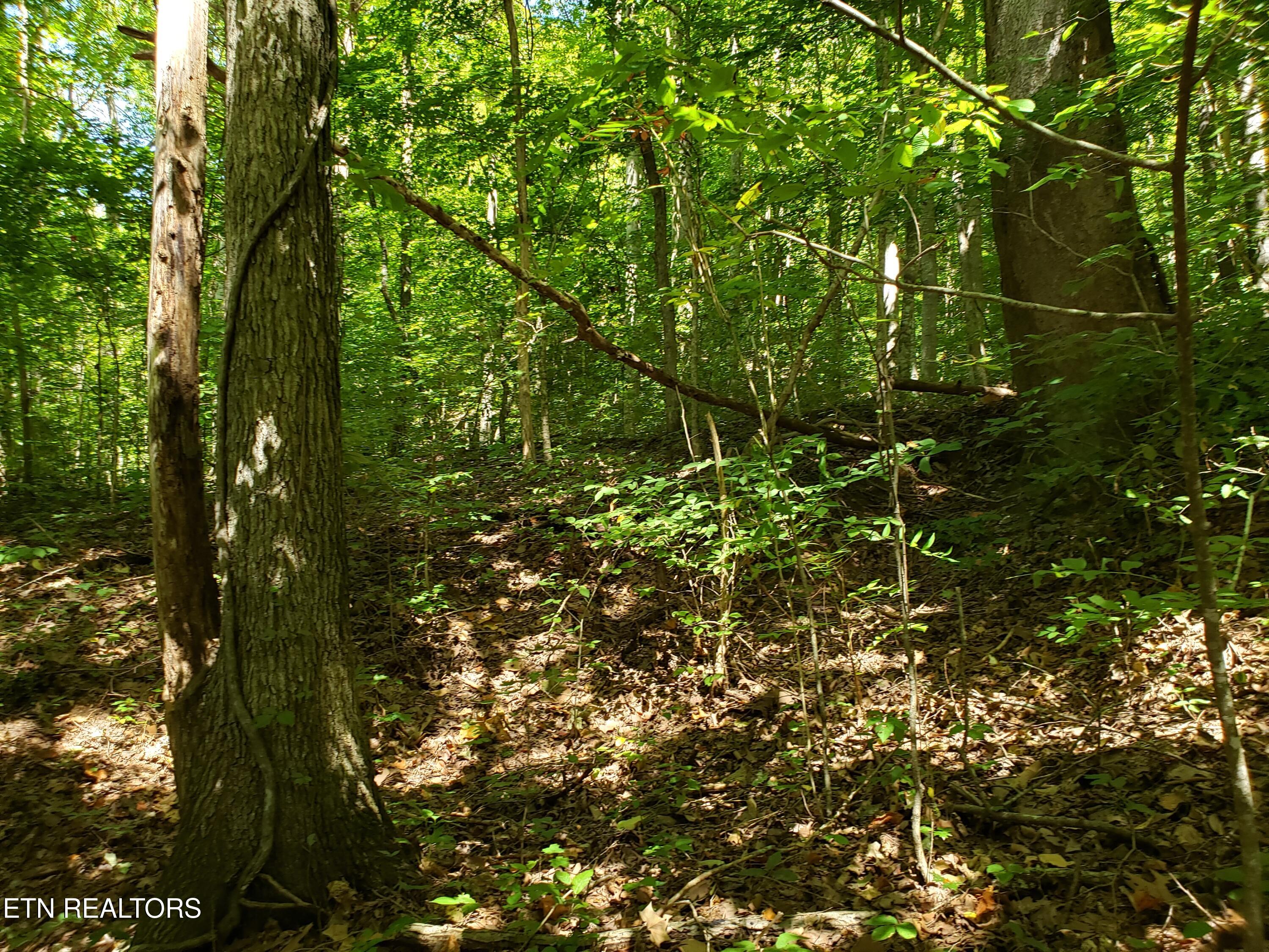 7.22ac Livingston Hwy Property Photo