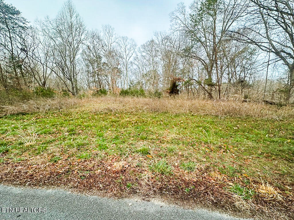 Lot 1102 Mountain View Lane Property Photo