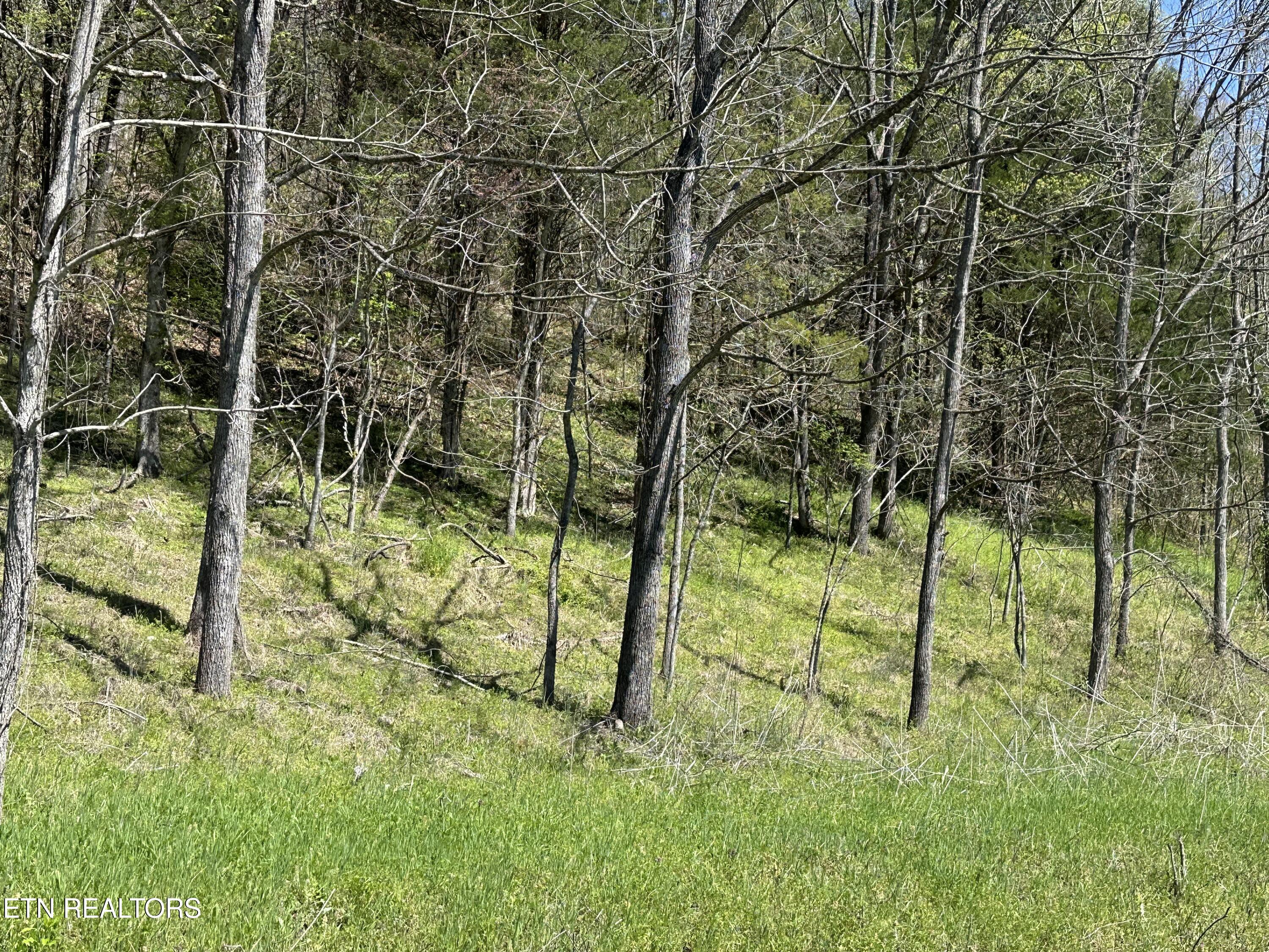 War Creek Rd Property Photo