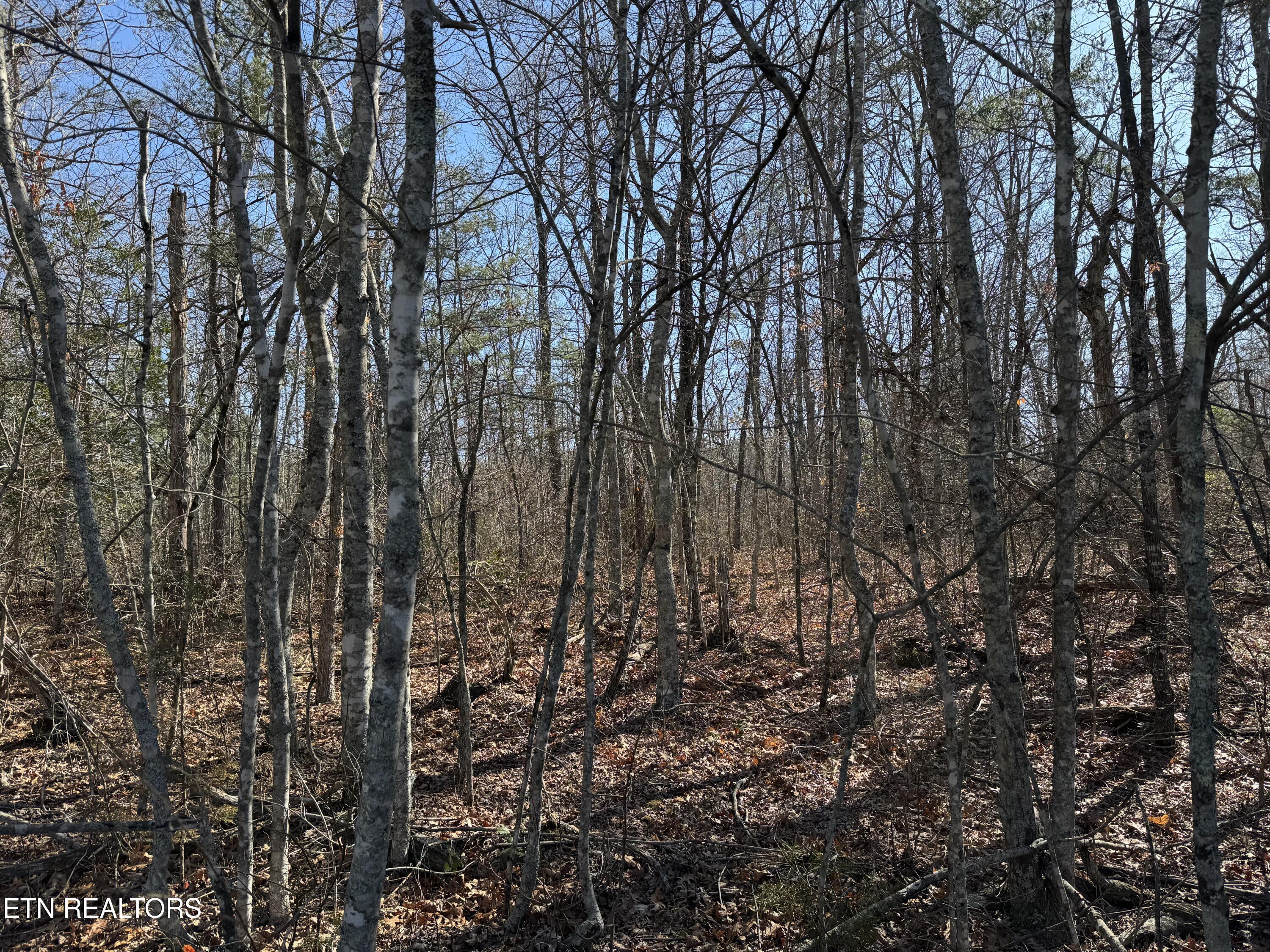 Cumberland Lakes Drive Property Photo