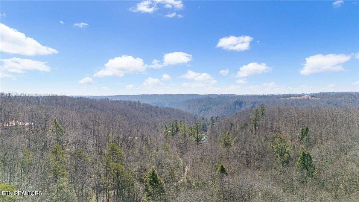 182 Hillbilly Lane Property Photo