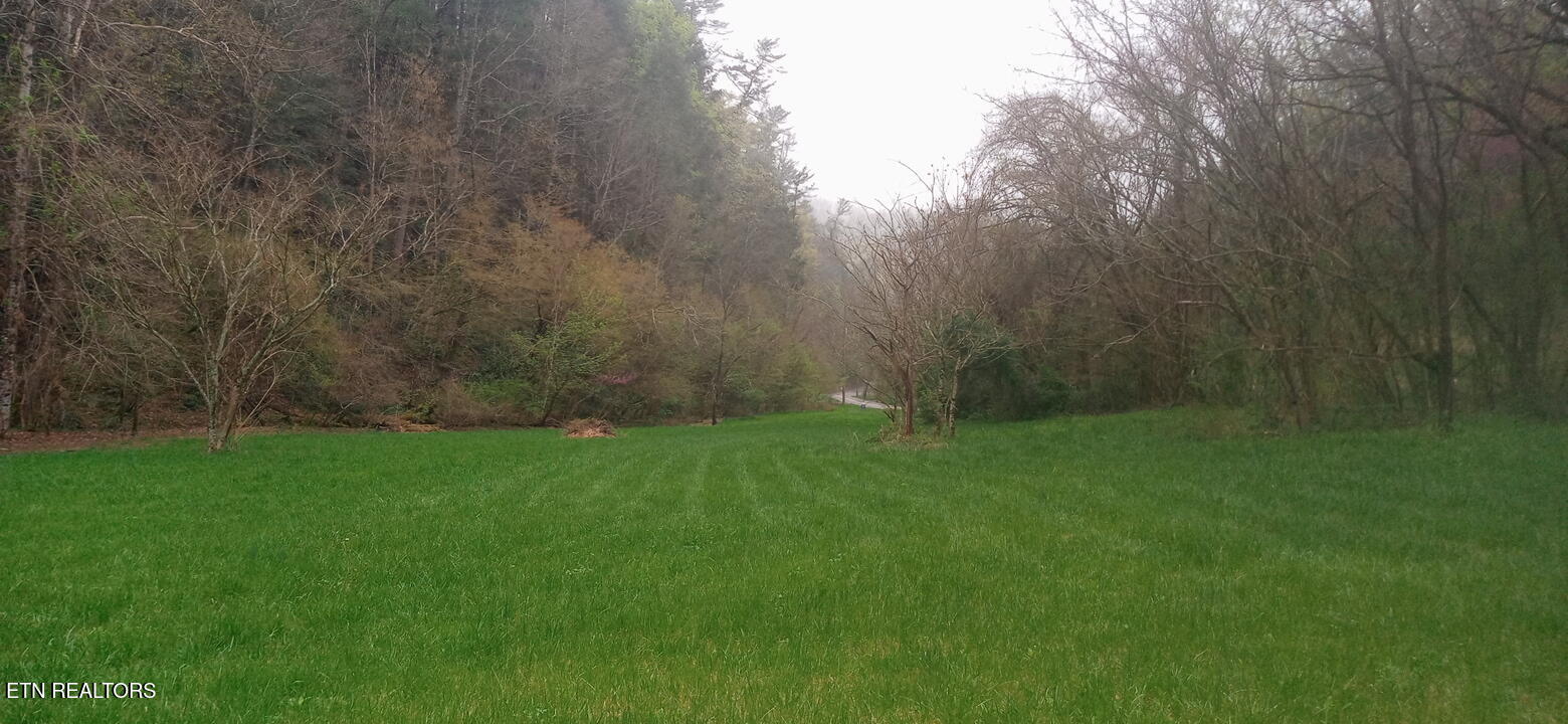 Wilhite Rd Property Photo