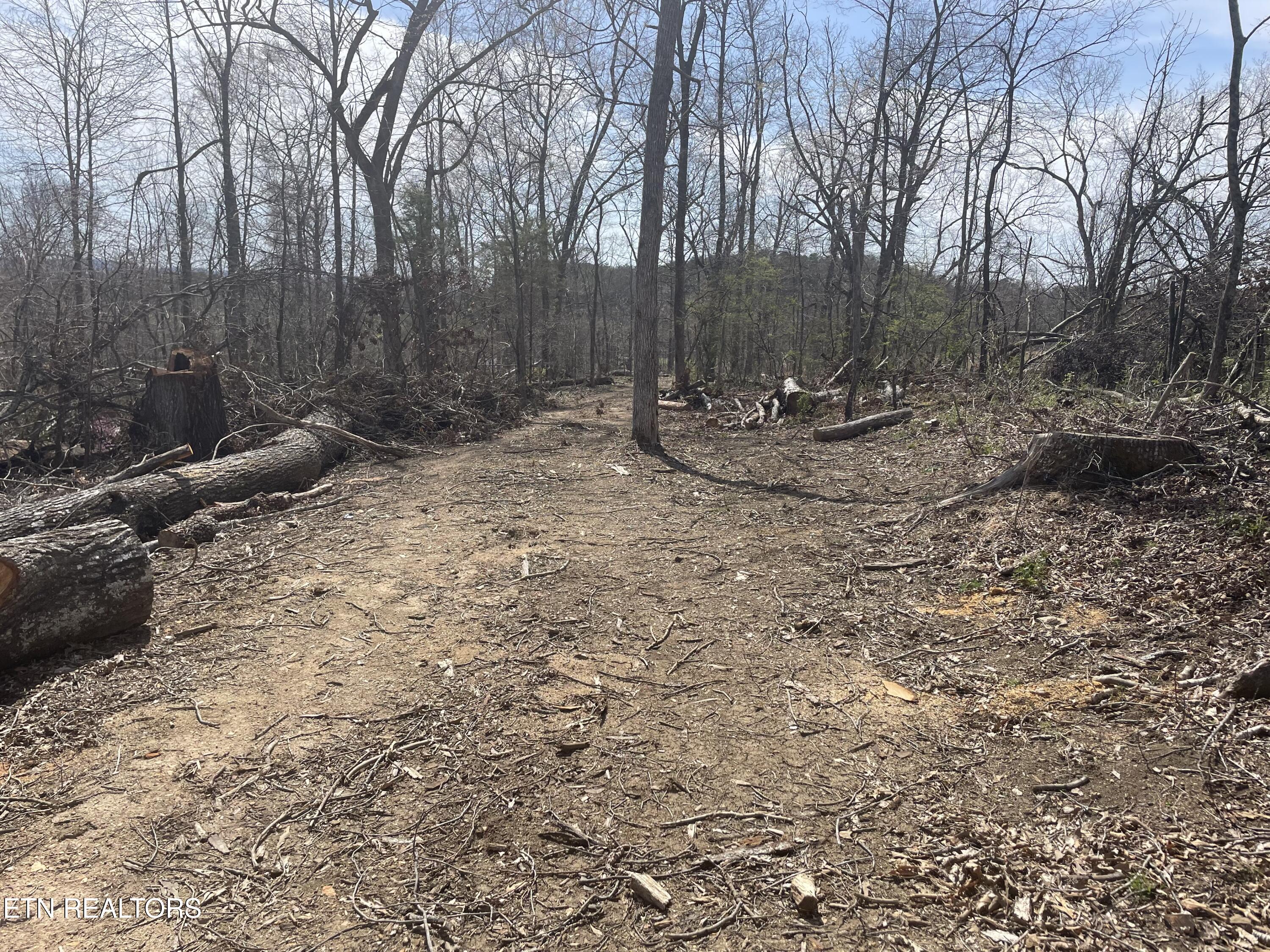 Lot 8 Highway 66 Property Photo