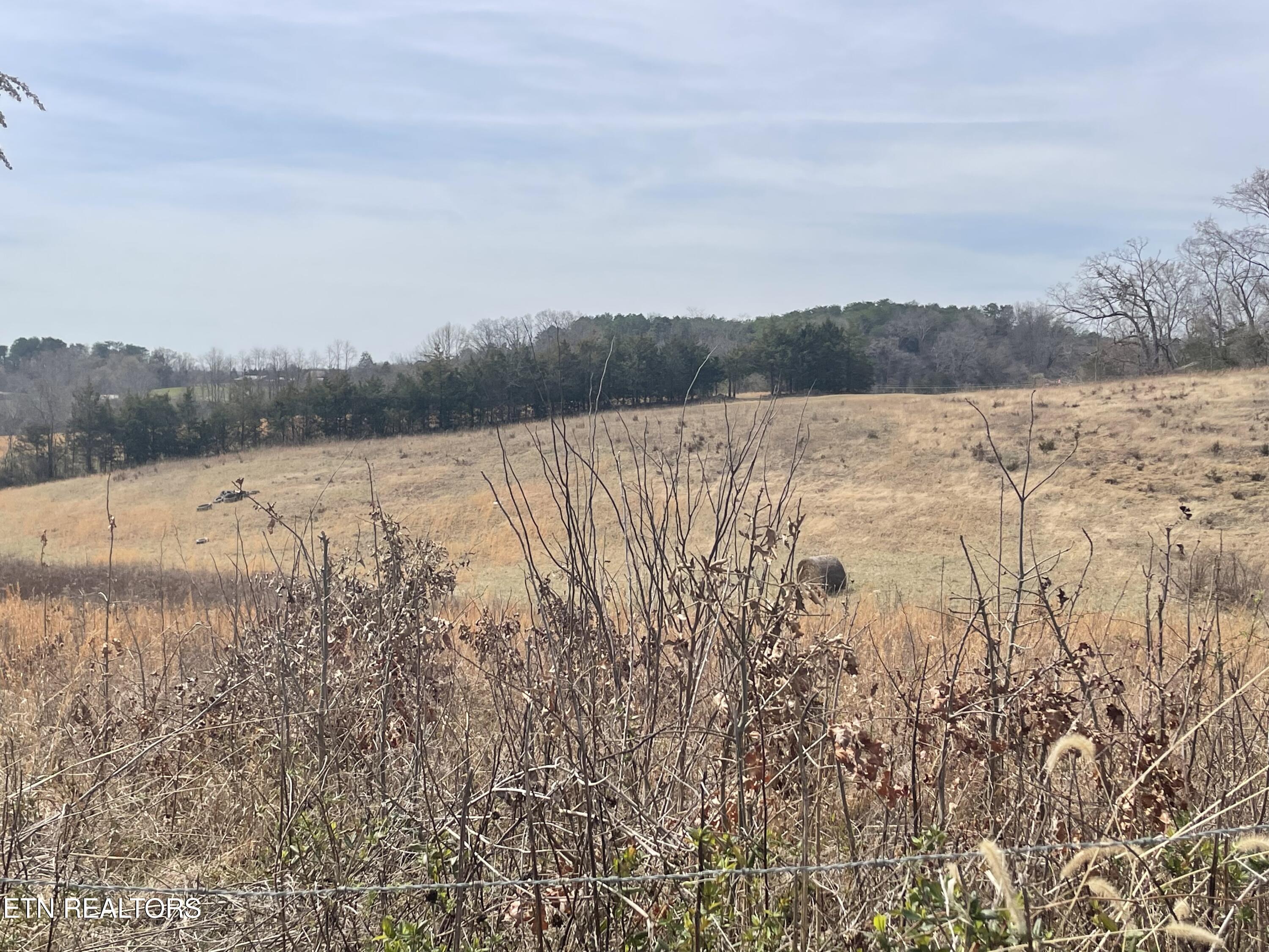 Lot 10 Highway 66 Property Photo
