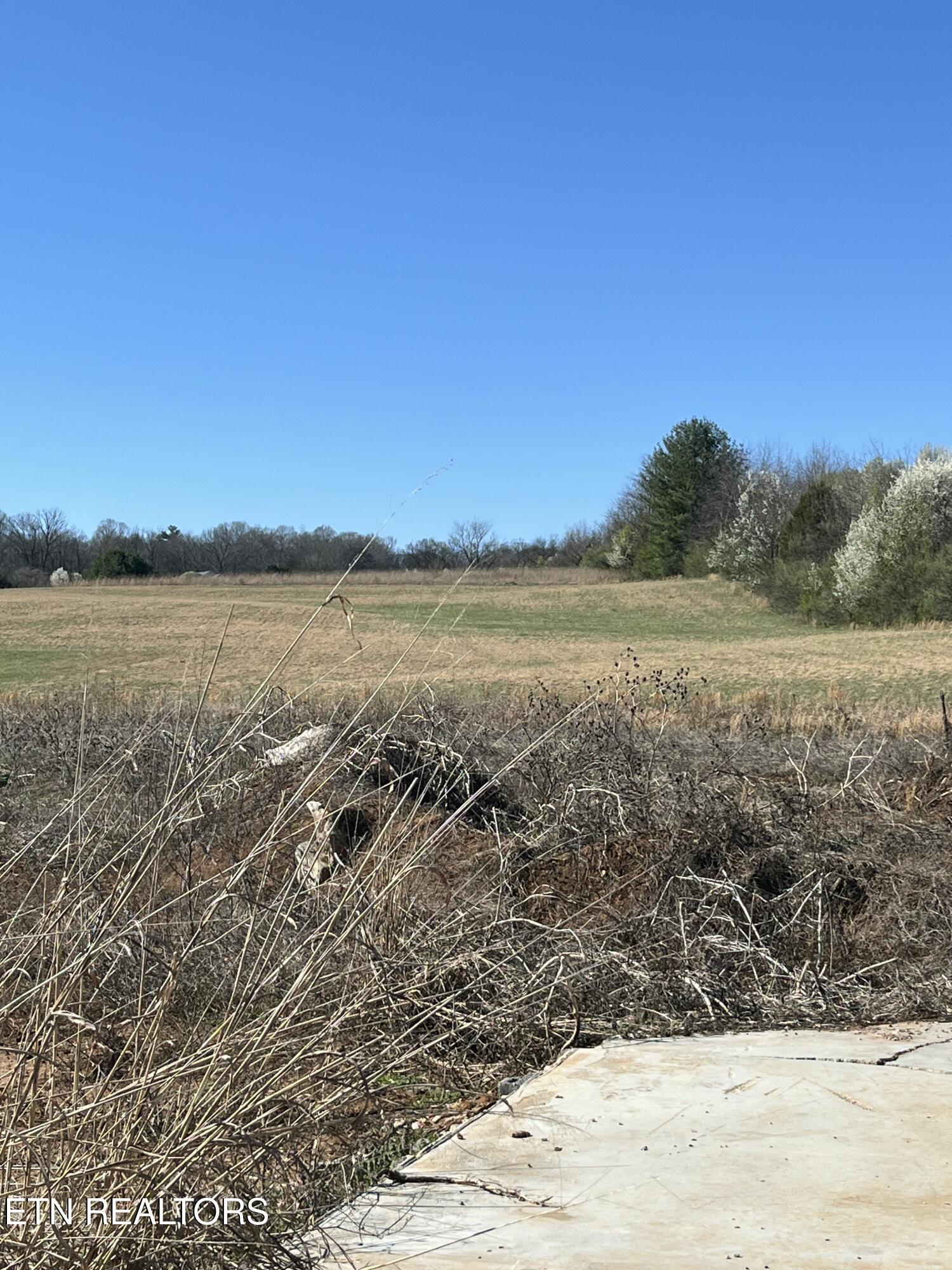 Boyds Creek Hwy Property Photo