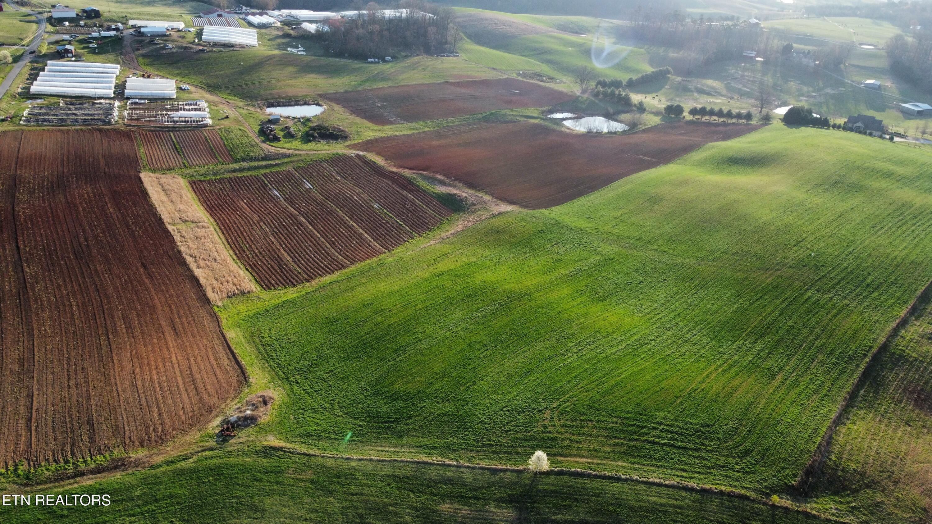 79 Acres Perrin Hill Rd Property Photo