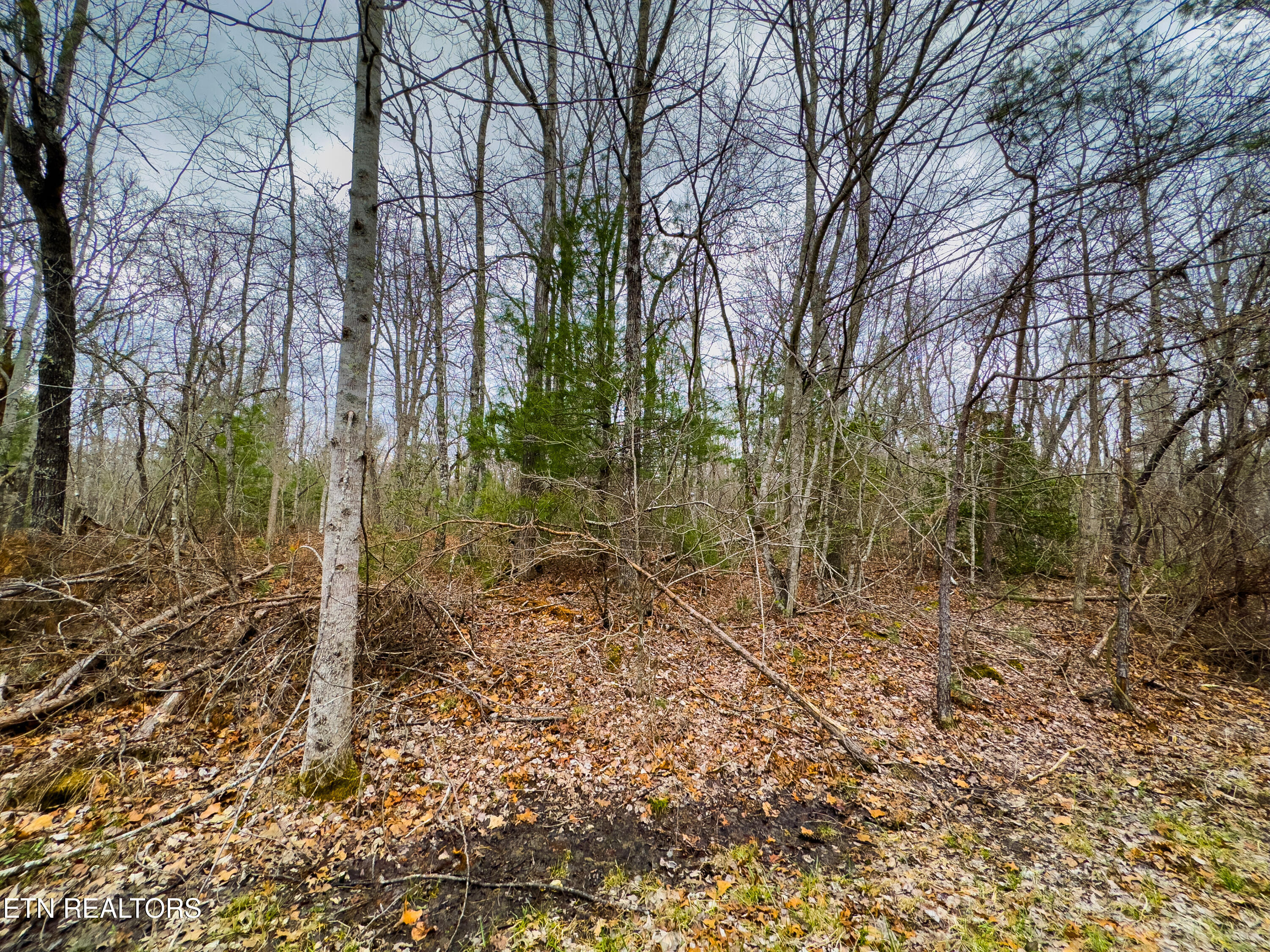 133 Thornhill Lane Property Photo