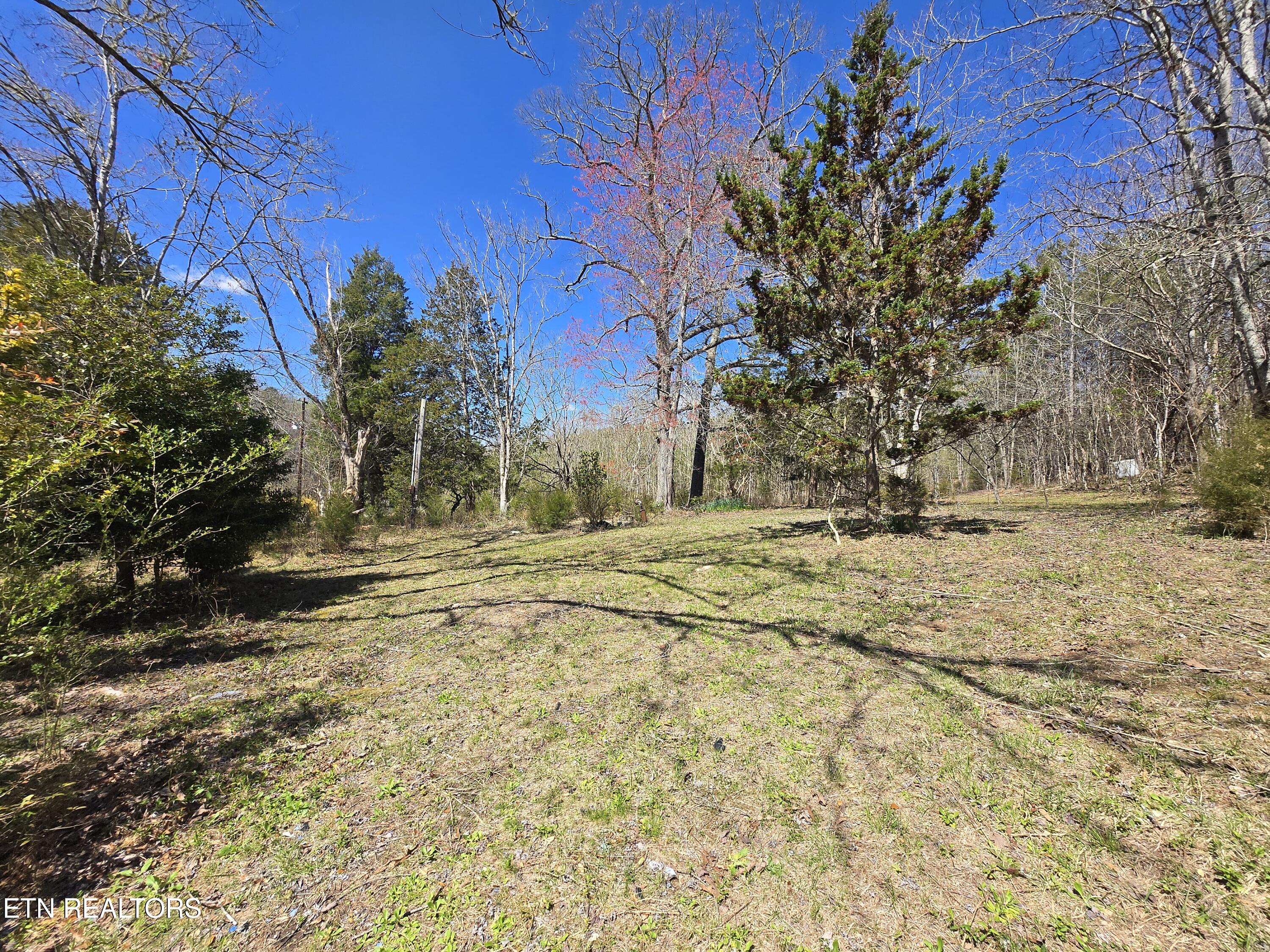 Crabtree Hollow Rd Property Photo