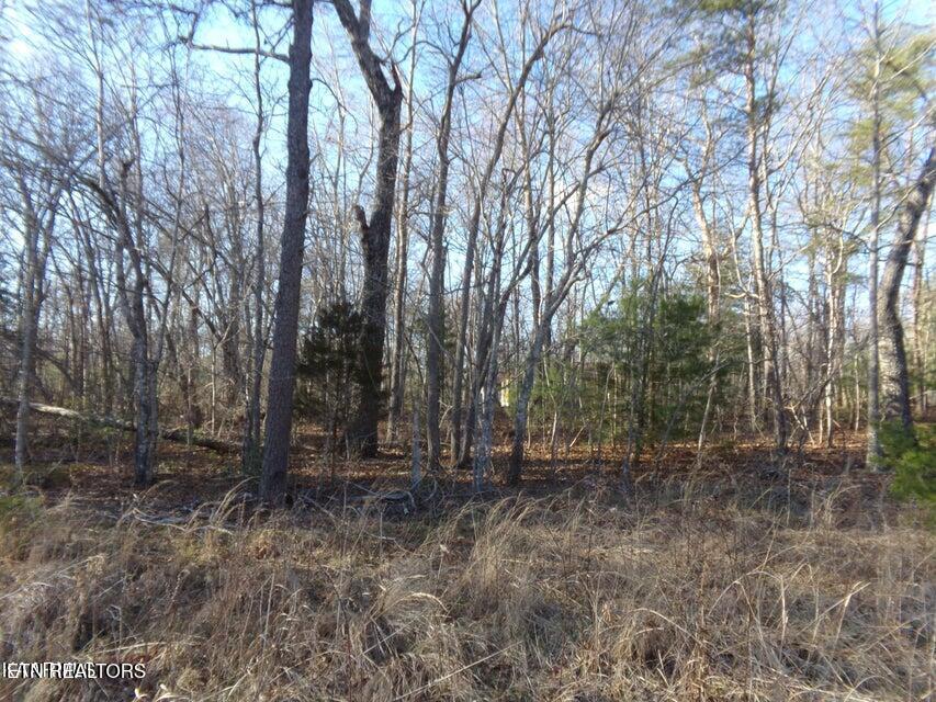 3059 Shawnee Rd Property Photo