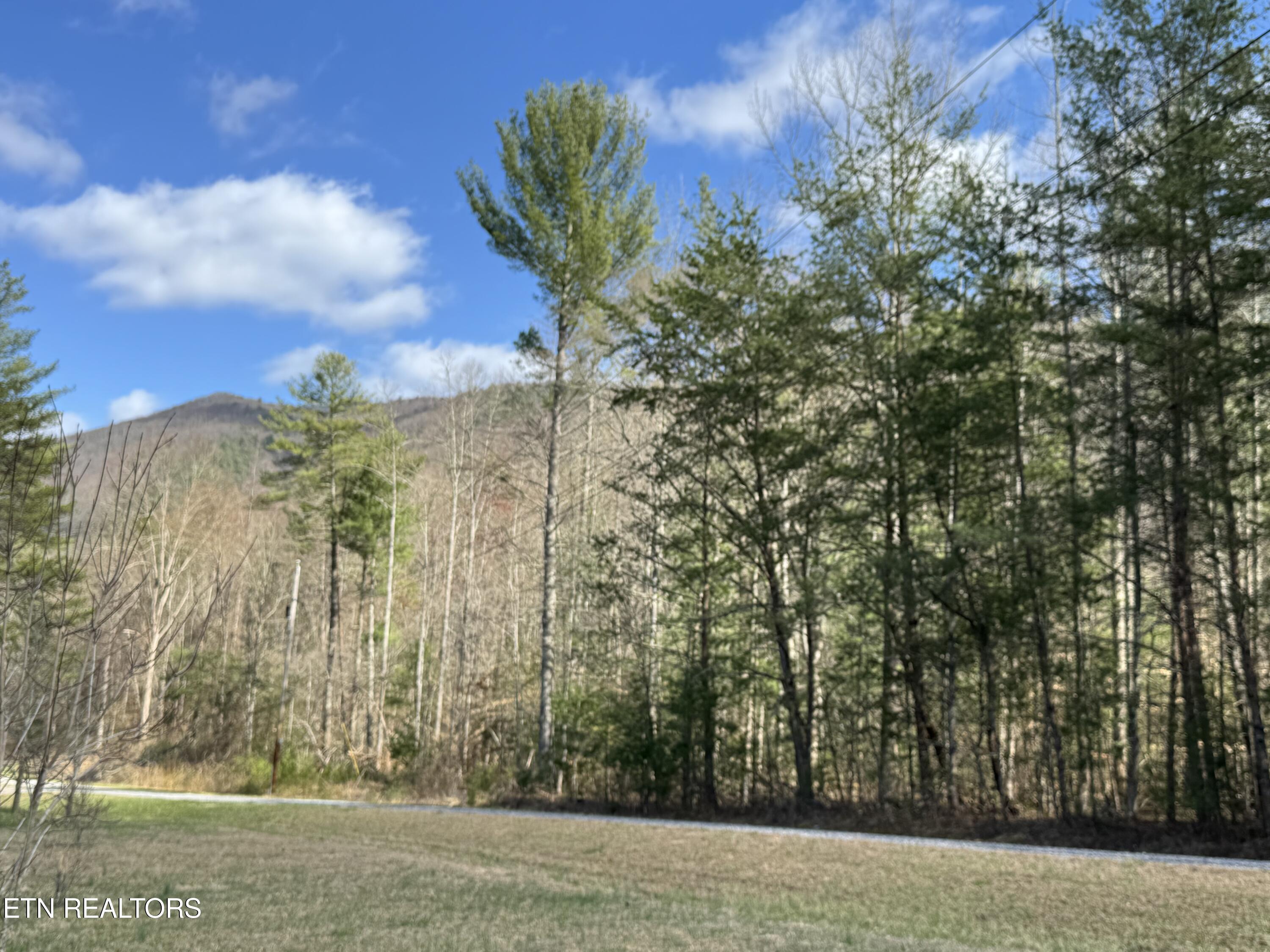Cougar Trail 3ac Property Photo