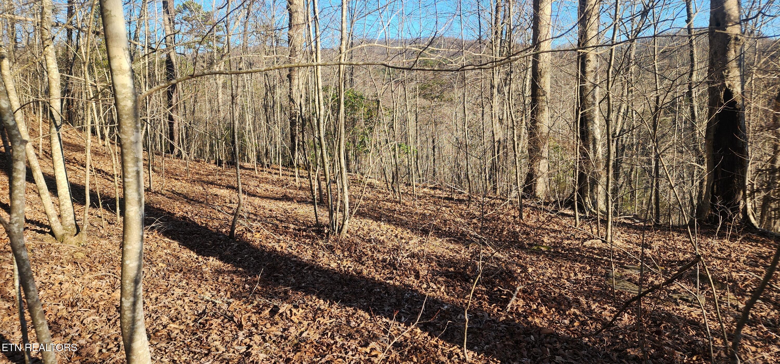 206 Lick Creek Lane Property Photo
