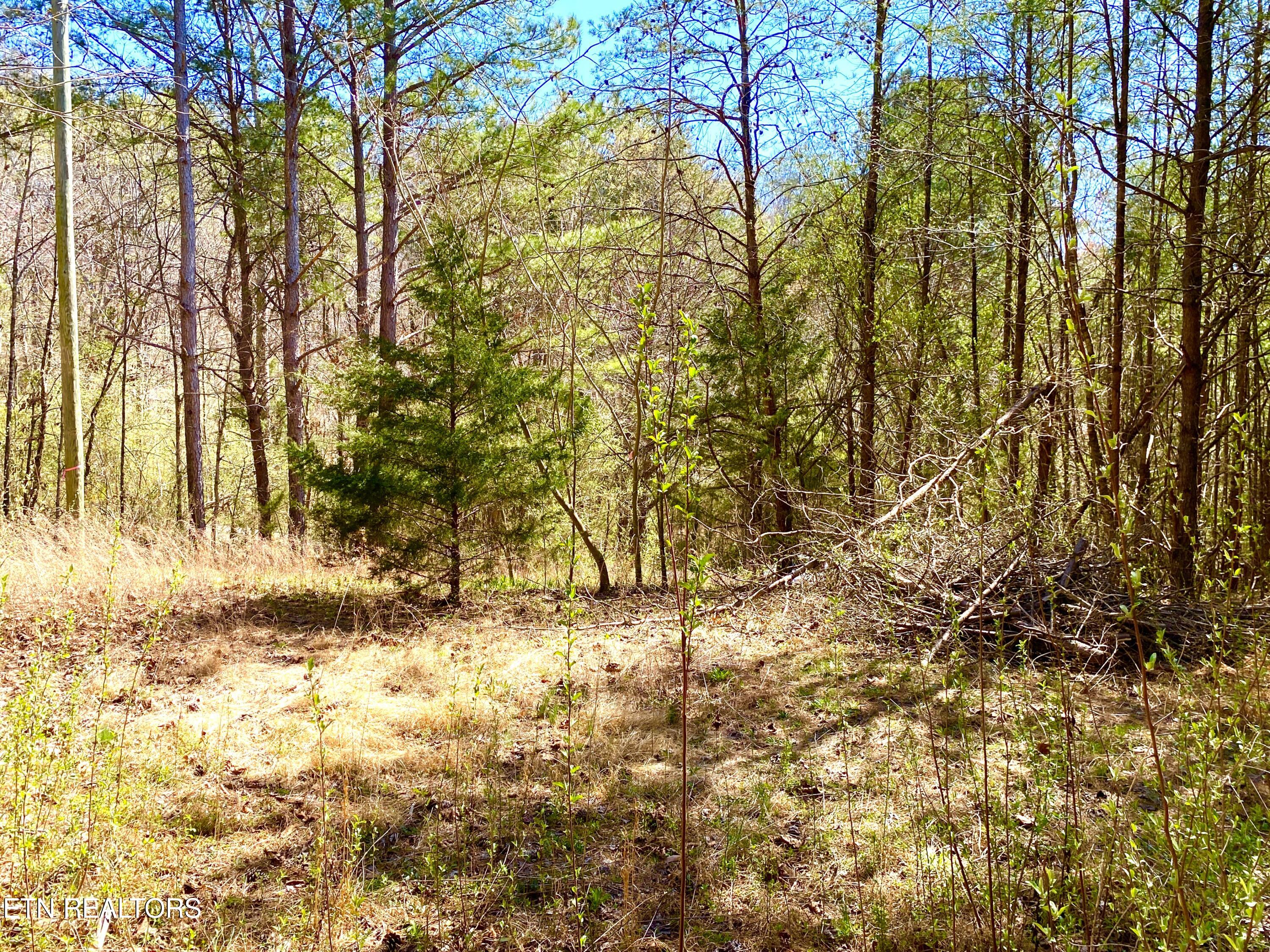 396 Beulah Rd Property Photo