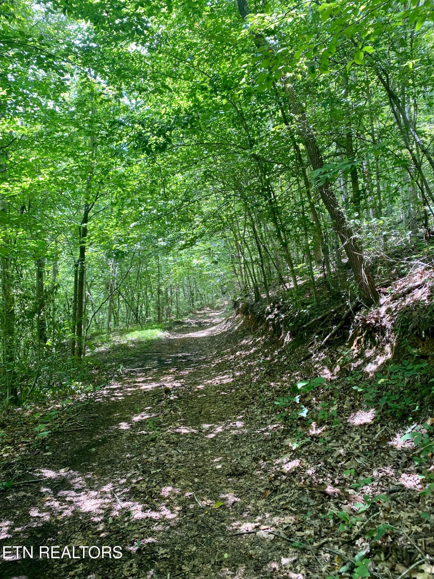River Ridge Road Tract 3 Property Photo