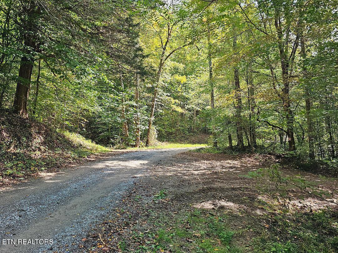 118ac Mill Hollow Rd Property Photo