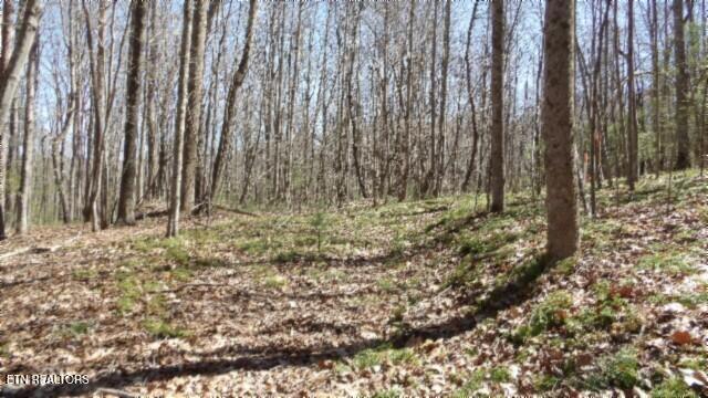 391 Ridge Road Property Photo