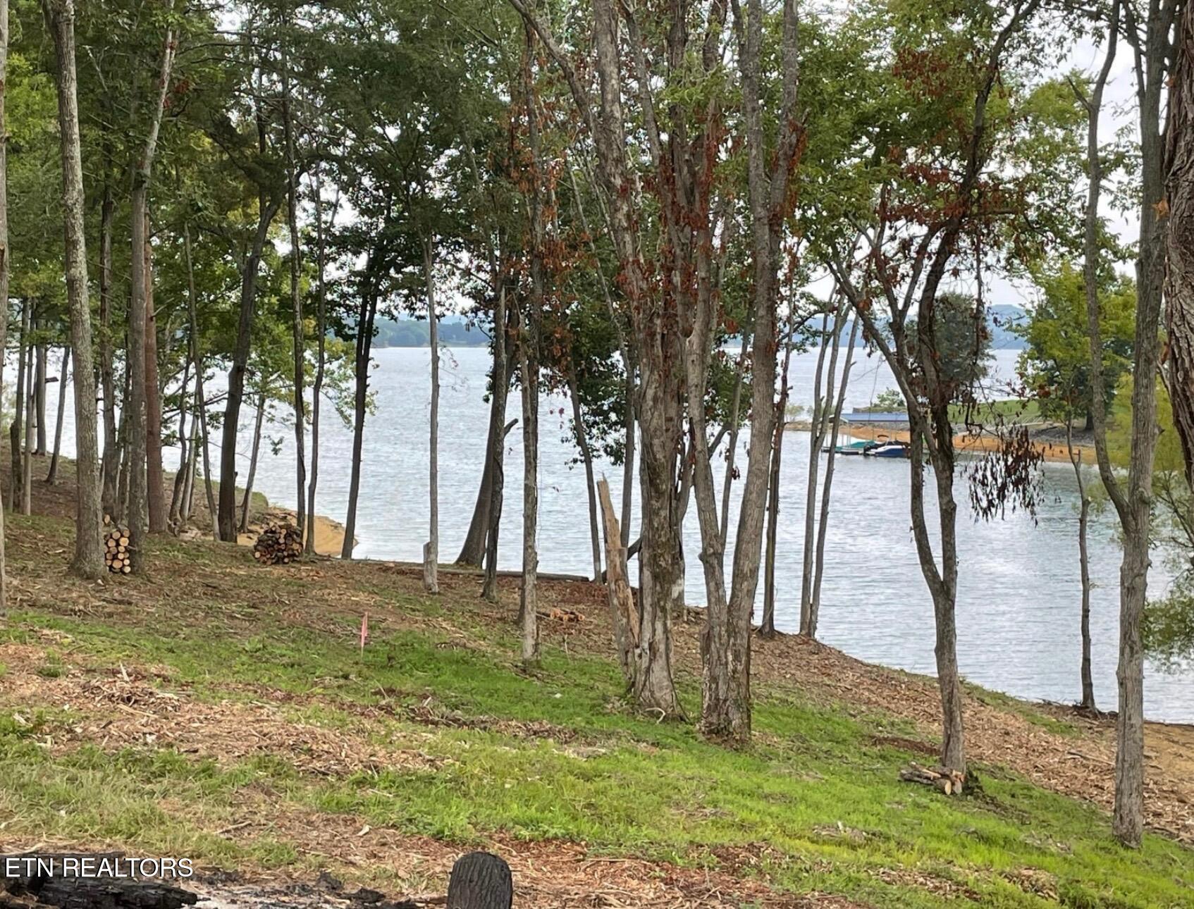 English Mountain Point Property Photo