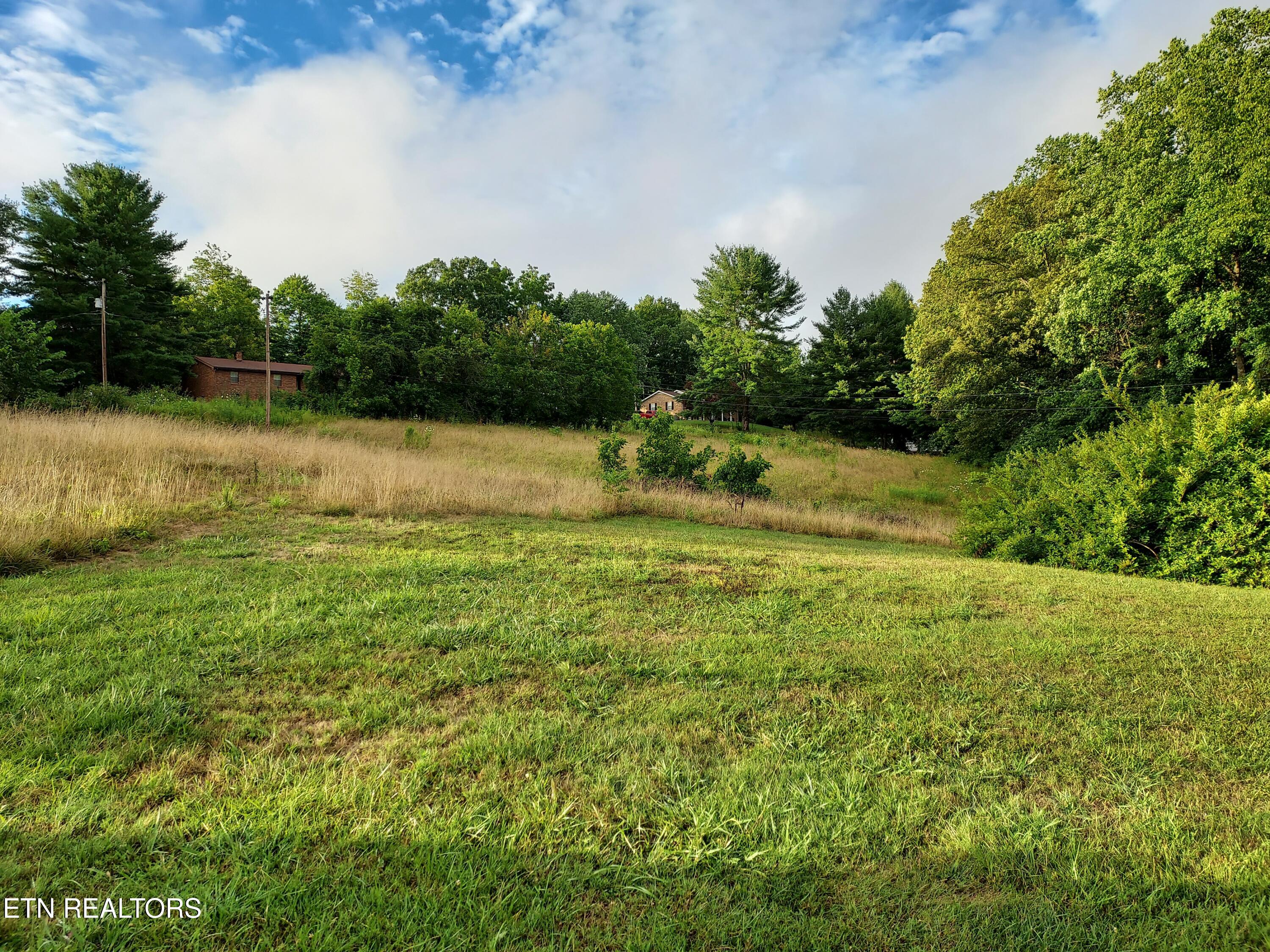 Tbd Luther Villa Rd Property Photo