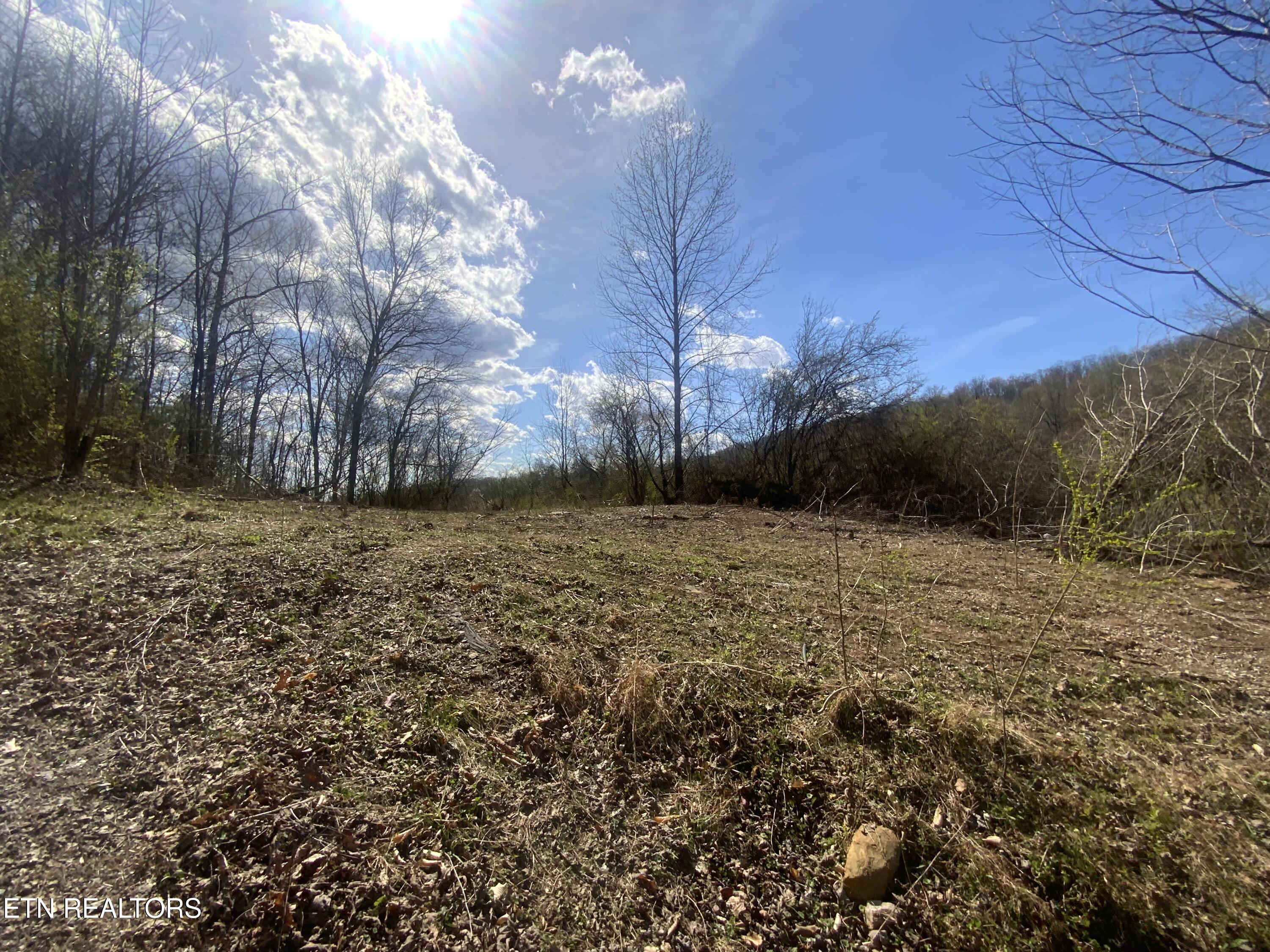 299 Haney Hollow Rd Property Photo 1