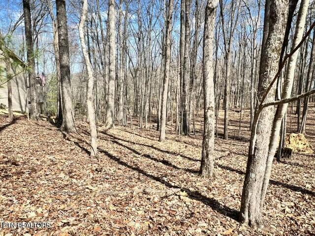 120 Pineridge Loop Property Photo