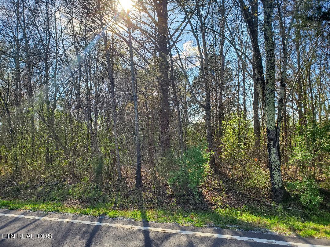 Lot 1 Highway 304 Property Photo